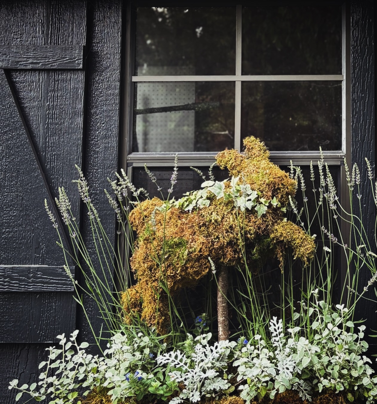 A peaceful garden space to create and connect. That's what we offer. Have a peek at the website and plan a visit to floriculture this year.
Order FLEXIBLE FLOWERS and visit 3x (early to late Summer) whenever you need a bunch of beautiful (flowers)!
Visit the FLOWER TRUCK to grab a garden-inspired gift item or buy yourself something lovely. We offer an ever evolving selection of planters, wreaths, seasonal bouquets and floral finery, all made by me.
Monday-Friday, 8:00am-6:00pm
Saturday, 9:00-4:00
Sunday, 10:00-3:00
Plan or join a FLORICULTURE EVENT and put creativity on the calendar. Gather a small group, select a WORKSHOP and secure your date. We also have a fun selection of themed SENSORY GARDEN WALKS for all ages (beginning in June)-
Visit the website for all the details.