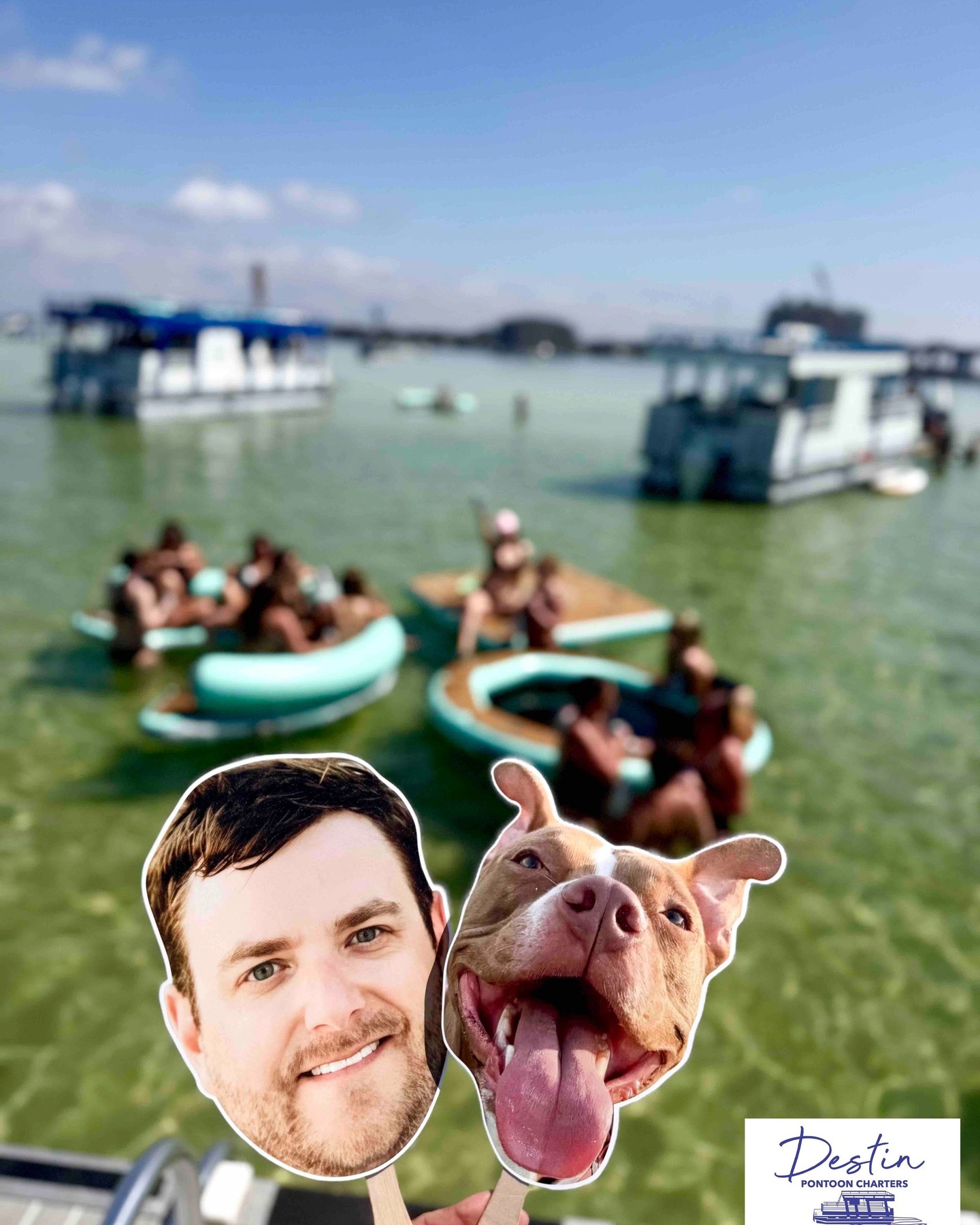 🐶😀
📸: @captwendirealtor