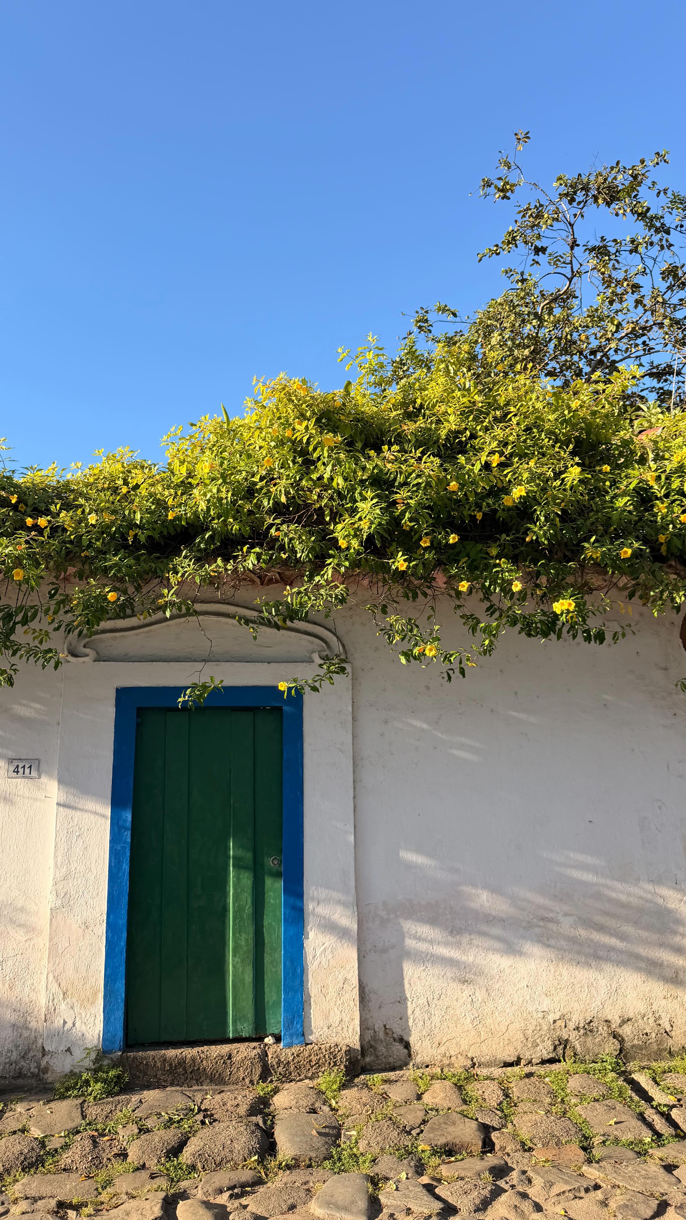 Que a pressa de viver não nos faça esquecer de reparar nos detalhes.
Em Paraty, eles estão por toda parte. 🌿✨