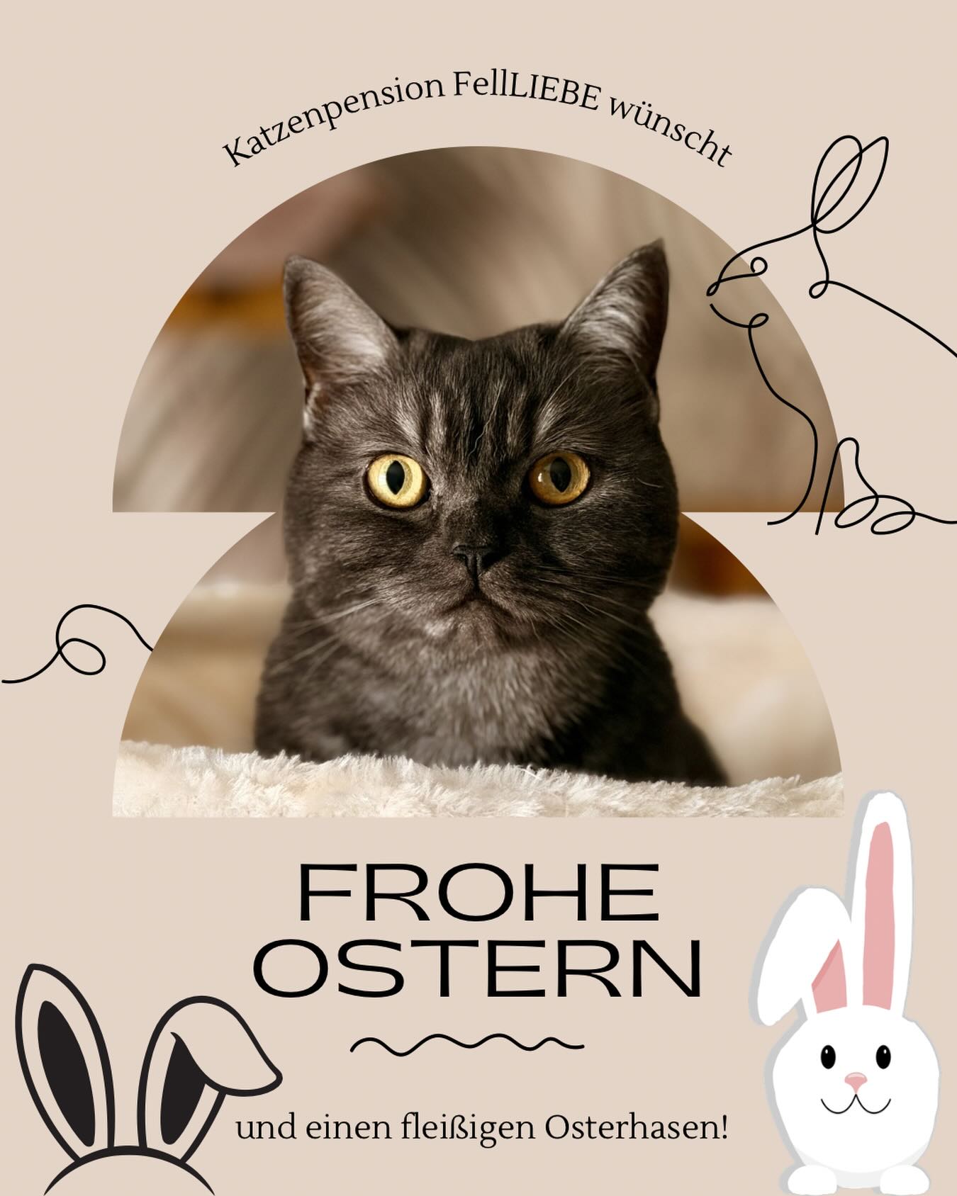 🐣🌸 Frohe Ostern wünscht die Katzenpension FellLIEBE! 🌸🐾
Wir möchten diesen besonderen Anlass nutzen, um einfach mal Danke zu sagen 💛
Danke für euer Vertrauen, eure lieben Worte und dafür, dass ihr eure Samtpfoten in unsere liebevolle Betreuung gebt. Jede einzelne Katze bringt ihre eigene Persönlichkeit mit – und wir sind dankbar, ein Teil ihres kleinen Urlaubs bei uns sein zu dürfen.
Ohne euch und eure Fellnasen wäre FellLIEBE nicht das, was es ist 🐱✨
Wir wünschen euch und euren Lieblingen entspannte Feiertage, viele kuschelige Momente und vielleicht die ein oder andere versteckte Osterüberraschung 🥚🐾
.
.
.
.
#ostern
#dankbar
#katzenpension
#liebe
#glücklich