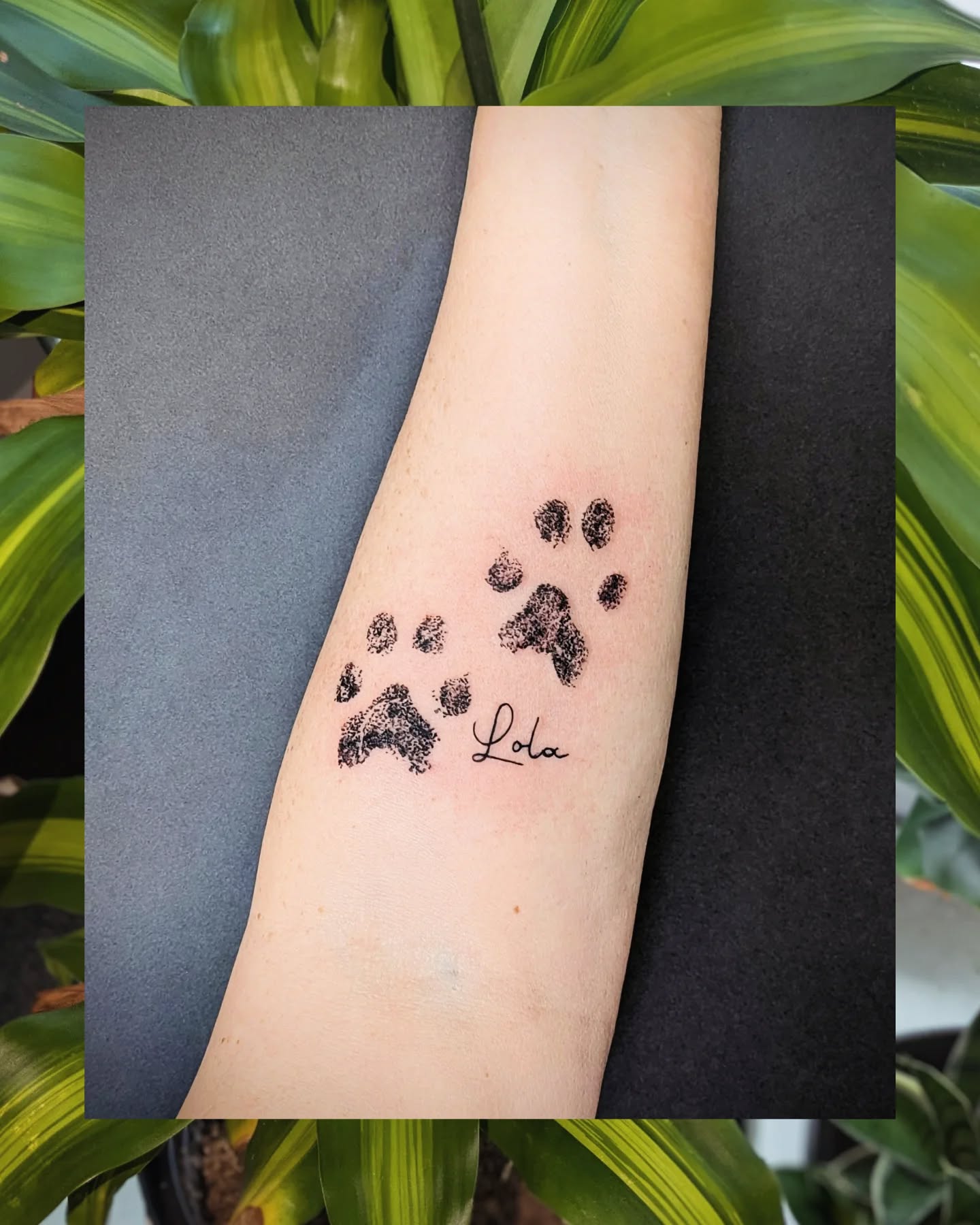 Rest in peace 🐾 Lola 🪽
We used her actual paw prints for this tattoo 😇
#tattoo #tattoos #pawprinttattoo #dogs #lola