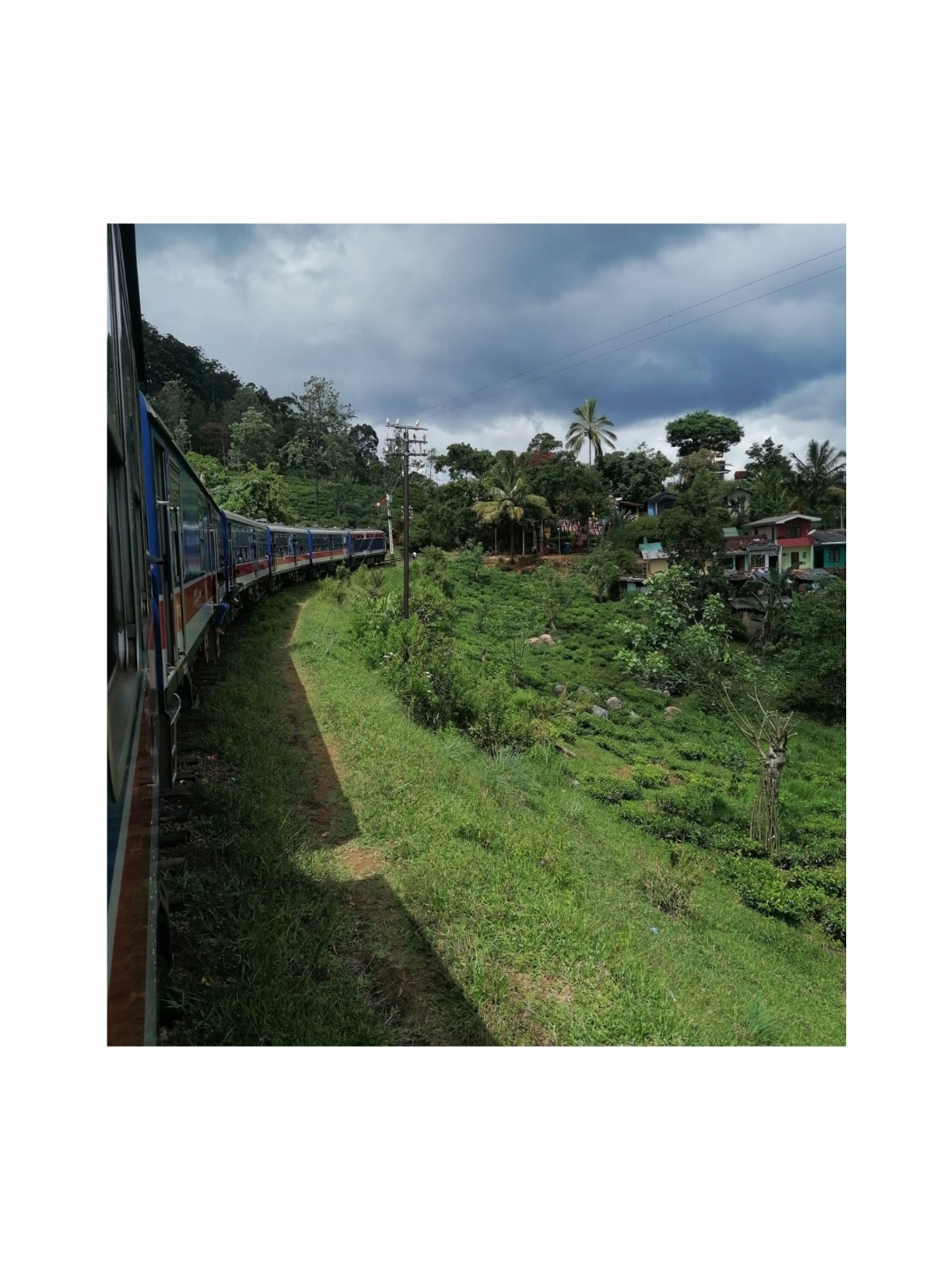 Au Sri Lanka, il ne faut pas rater l'occasion de prendre le train, c'est une attraction à part entière.
Tout en ayant le cœur bien accroché quand même 😉
#voyage #travelplanner #ctravel #surmesure #srilanka #itineraire #surmesure #train