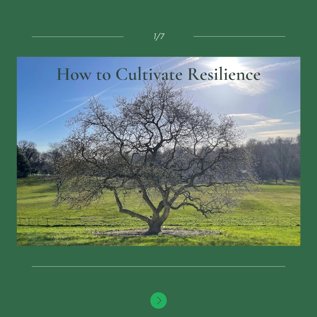 How to cultivate resilience? I like to visualise a tree. Deeply rooted, and stable (on one leg!) and at the same time, light at the top, facing the light, the water, and the wind. It is both stable and light, reaching down and rising up playfully and lightly.
1. Cultivate Self Awareness - learning to understand and articulate how we feel means we are able to communicate it better to others, and not become identified with every feeling that goes through us. This way we are more able to respond to triggers instead of react to them.
2. Be curious - this is essential for imagining alternative possibilities, narratives, and for allowing people to be themselves. Being curious means that we learn new things, accept new people and situations with open mindedness. This way we are less ‘rattled’ by changes, unexpected events, and other people’s behaviour.
3. Practice Acceptance - accepting that things are uncertain, complex, out of our control, means that we are better regulated and calmer. It allows us to practice all of the above with curiosity, and not with a sense of constant dread or panic.
4. Look after yourself - Keeping ourselves healthy, calm, present, and joyful allows us to practice all that is said above. It gives a sense of self worth which is motivating, and enriching and is inherent and doesn’t depend on what happens around us.
5. Be playful and open minded - These add creativity and a sense of possibility. Seeing other possibilities to every situation gives us a sense of agility, responsiveness and suppleness which means we are more… resilient!
Be a tree!
