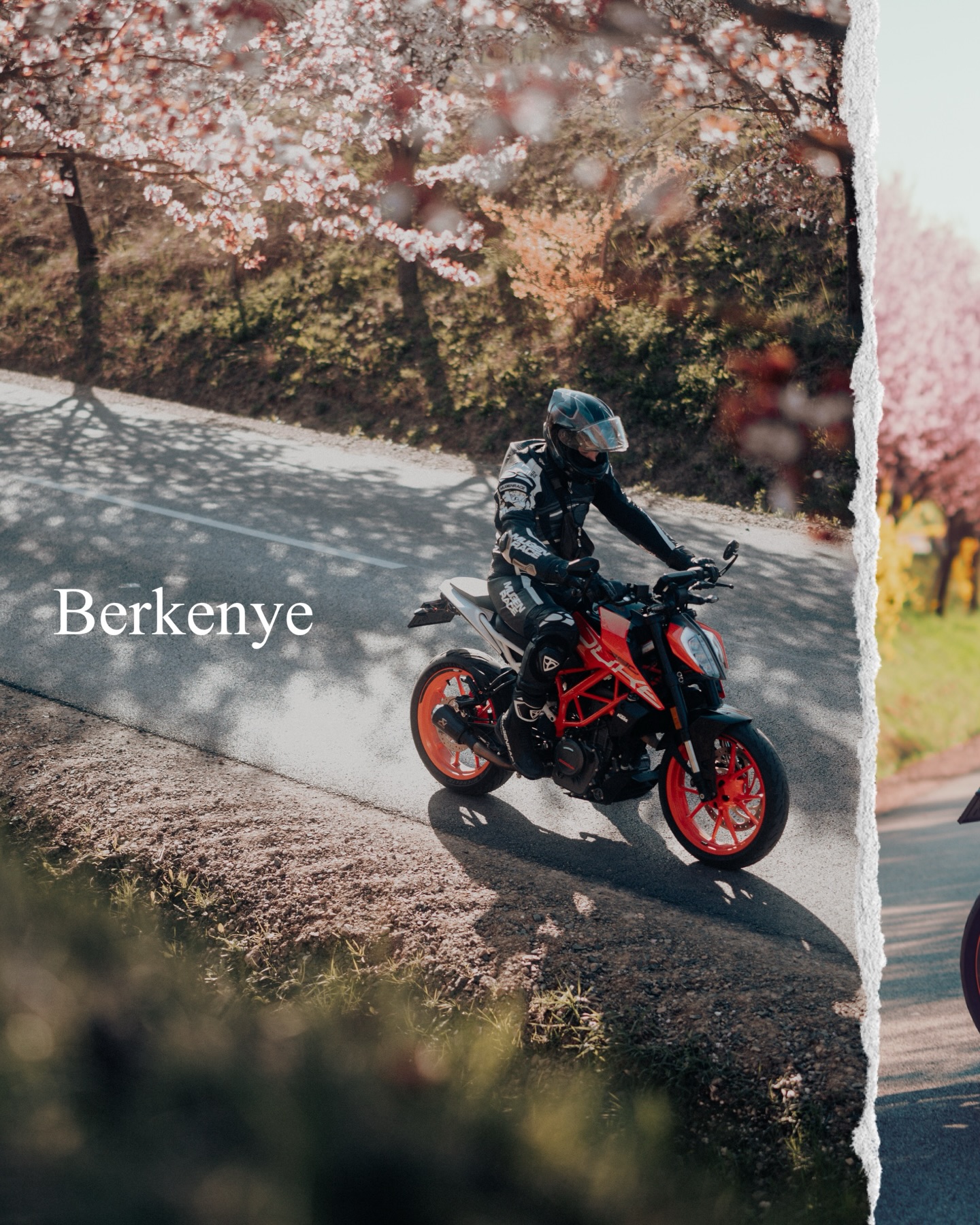 Berkenye
#duke #moto #ktm #berkenye #szilvafasor