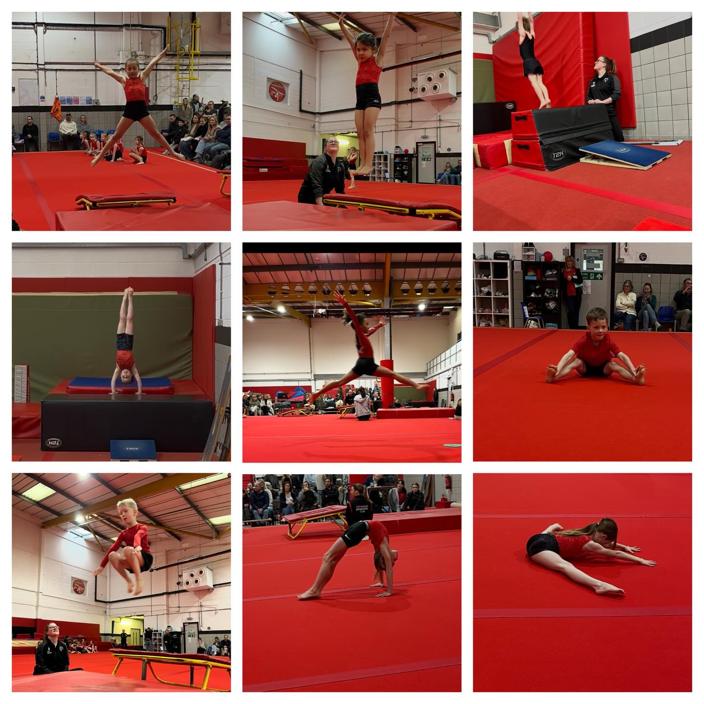 🏅CLUB CHAMPS 🏅
A massive congratulations to all gymnasts that competed today! You did brilliantly and your coaches are super proud of you!
More photos/videos to come this week! 📸
If you have any questions, please don’t hesitate to contact us! All details listed below 👇
✉membership@cotswoldgymnastics.co.uk
💻www.cotswoldgymnastics.co.uk
-—————————————
#cotswoldgymnasticsclub #cotswoldgymclub #gymnastics #cirencester #ciren