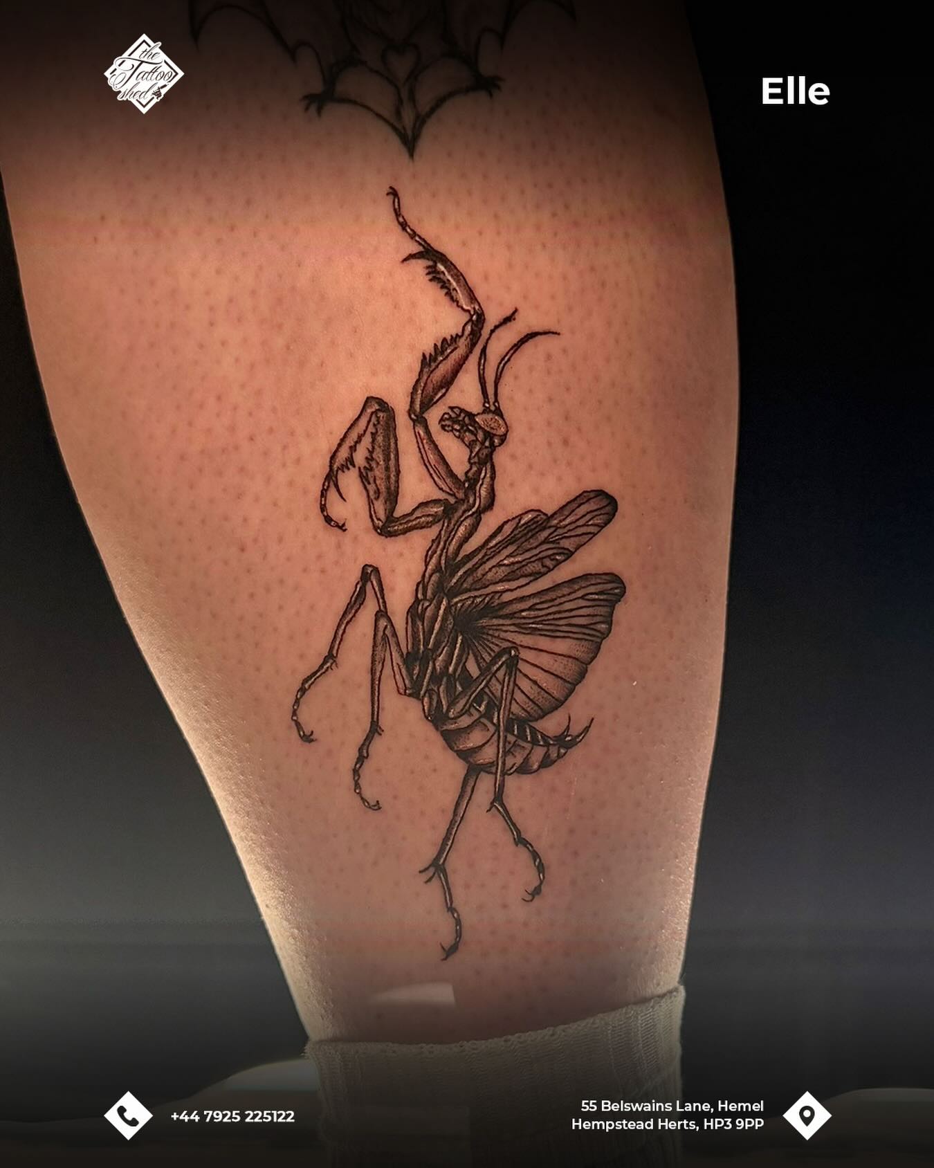 by Elle (@ellz.tattz)
📞 Contact us to book in today 07925225122
📍 55 Belswains Lane, Hemel Hempstead, Hertfordshire, HP3 9PP
#TattooShed #TattooParlour #tattoosofinstagram #Hertfordshire #HemelHempstead tattoo tattoolifestyle tattoos