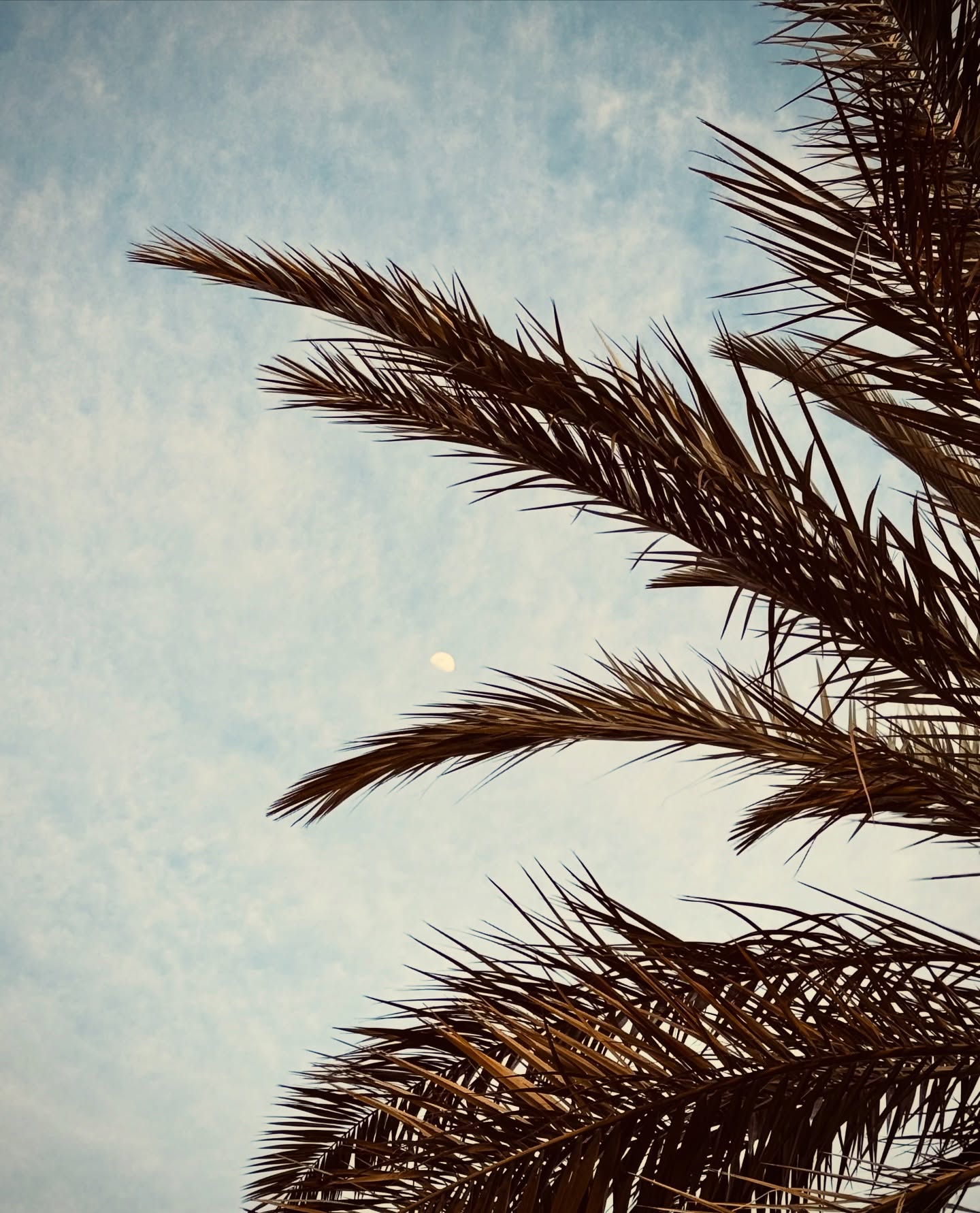 It’s the walks on the beach or through the near woods, the taste of great tomatoes, the cool buildings in the city, inspiring textures and details around…☀️