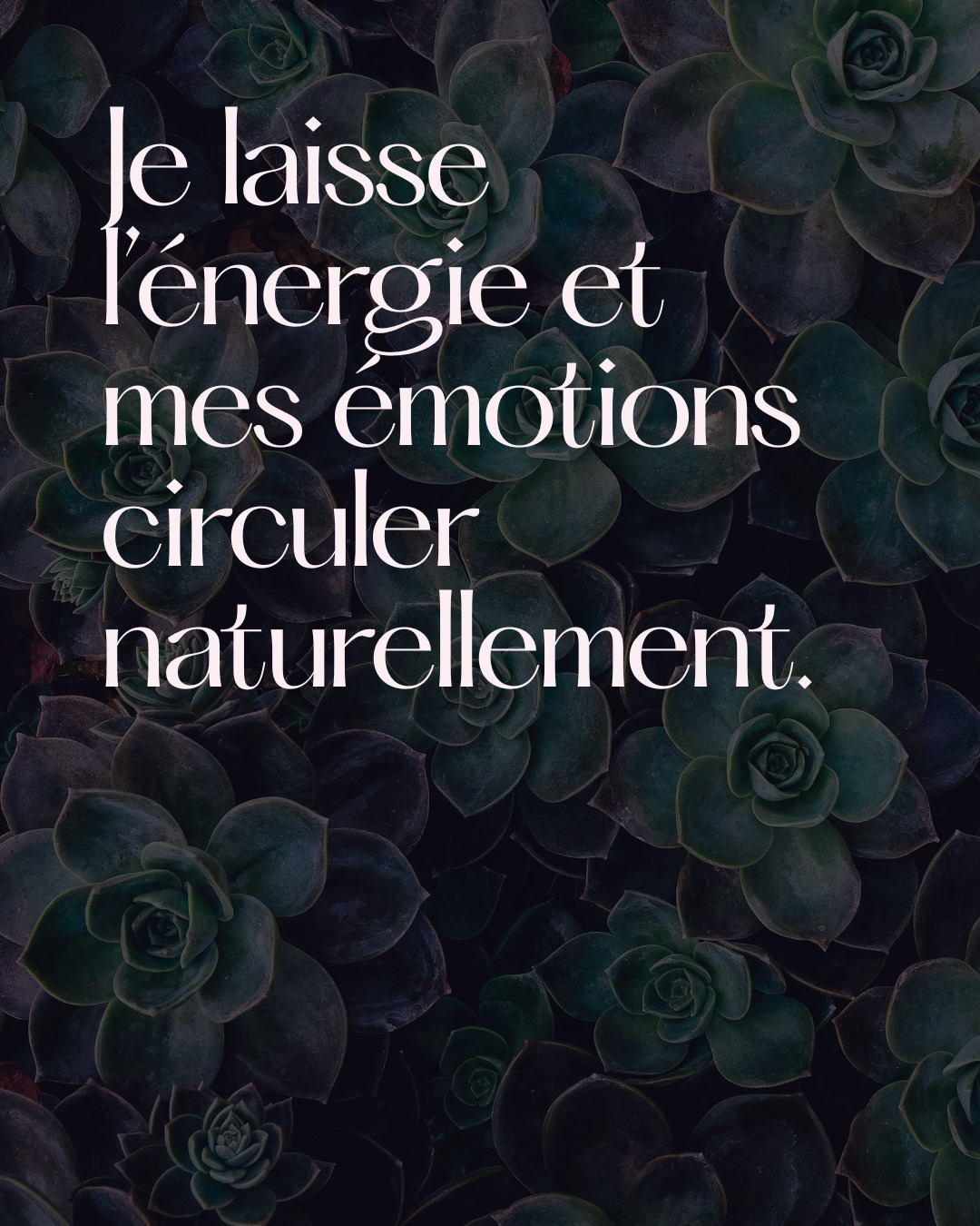 Lorsque l’énergie et les émotions peuvent circuler librement, le corps retrouve plus d’aisance et de fluidité. 🤍
//
When energy and emotions are allowed to move freely, the body finds greater ease and flow. 🤍
#circulationenergetique #emotionalflow #bienetreholistique #mindbodyconnection #slowwellness #healingpresence #montrealwellness #mtlwellness