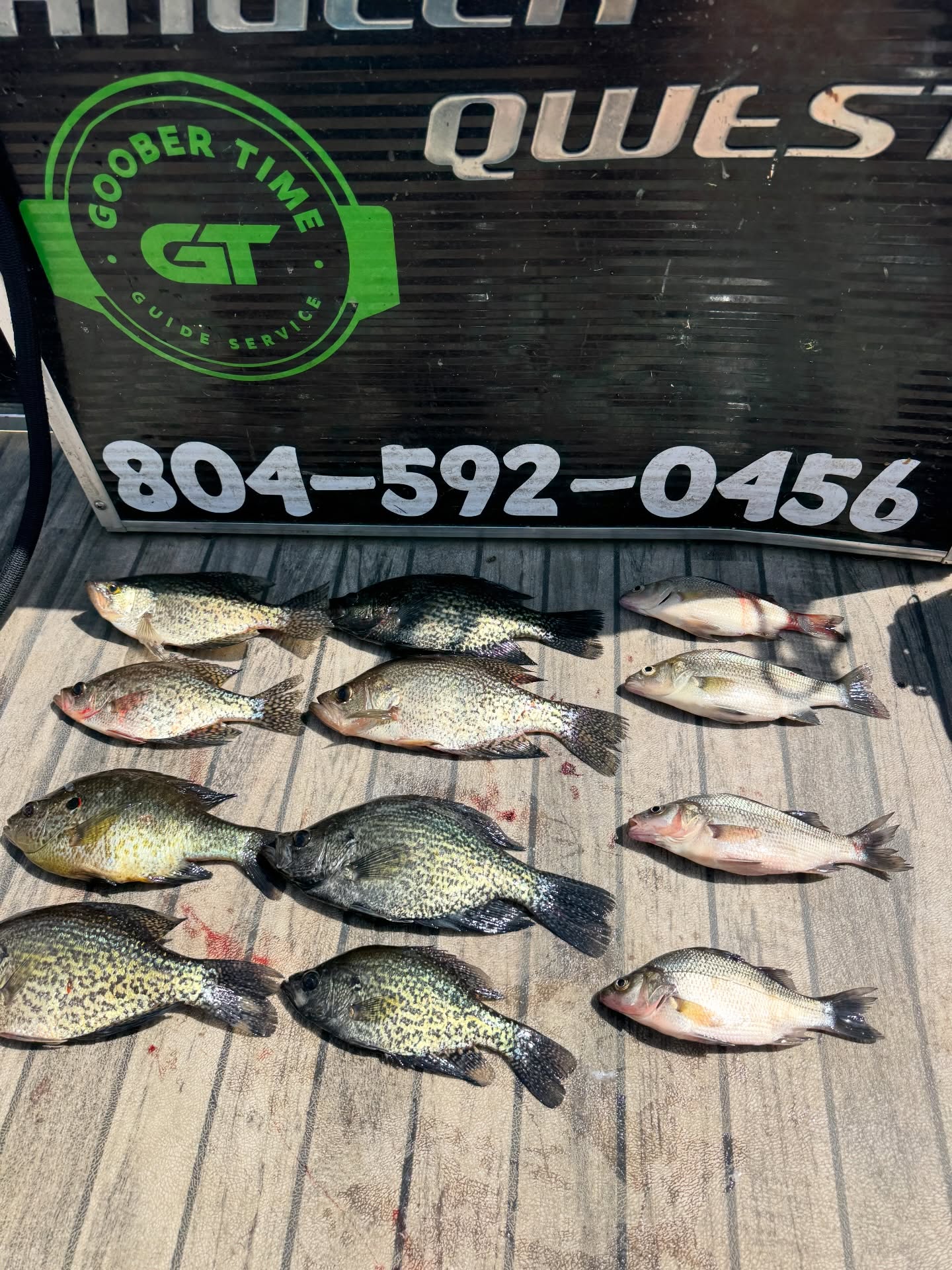 This is what it’s all about! 🙌 Huge thanks to our birthday crew for spending their big day with Goober Time.
Chickahominy Lake was showing off for them with some incredible multispecies action. We had to work the cypress knees and stay mobile, but the results speak for themselves. 🏆
Double tap if you’d rather be on a boat than in an office for your birthday! ❤️
Read the full report on water temps and what lures kept the rods bent at the Link in Bio. 🔗
#GooberTimeGuideService #Chickahominy #SpawningSeason
@catchthefever_outdoors
@
