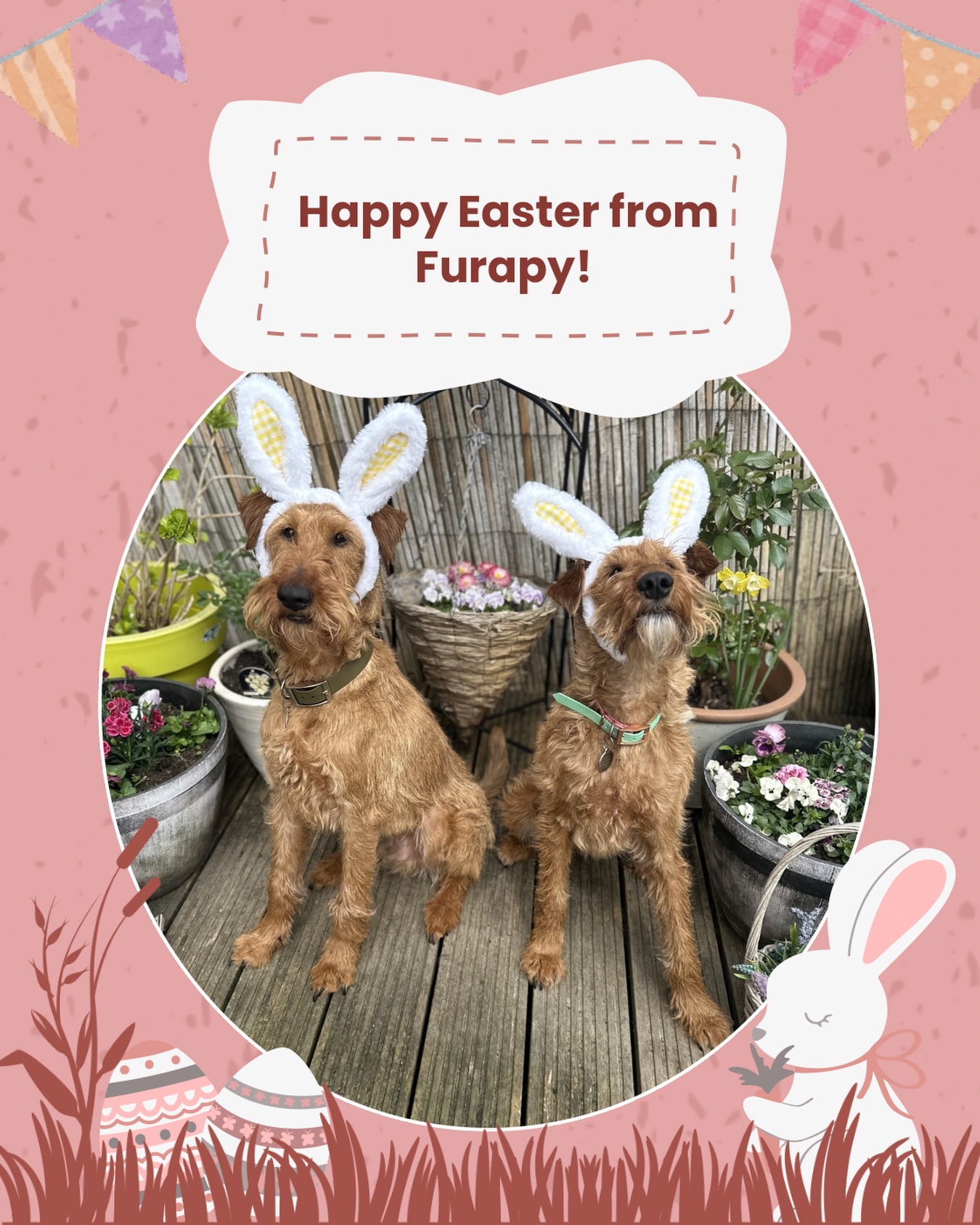 Happy Easter from Furapy! 🐇
Wishing you a lovely weekend from our two Easter bunnies! We will be taking a short break and will be back on Wednesday to treat your lovely dogs and cats ❤️