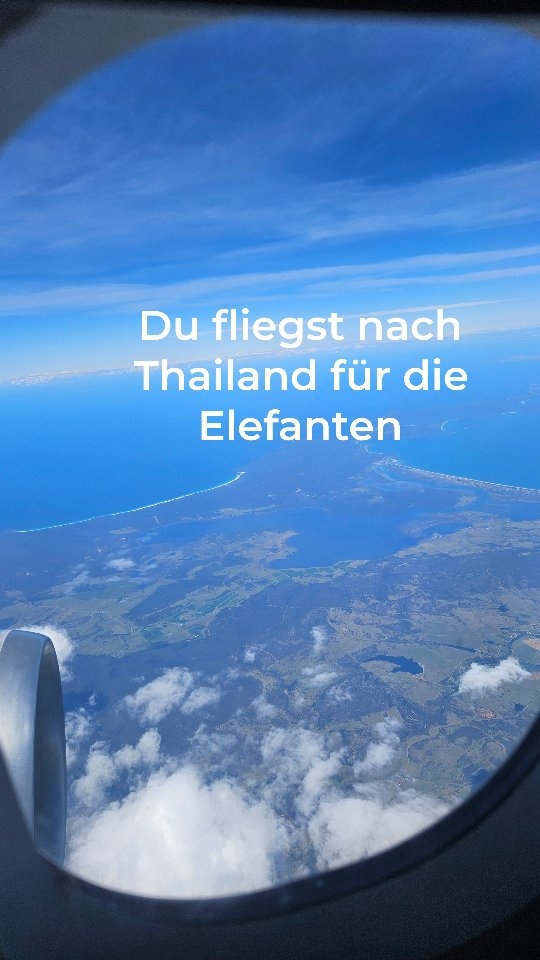 Für die Elefanten gekommen.
Für die Vibes geblieben
Lust auf ein Tattoo in Bangkok??? Dann bist du hier genau richtig ⬇️
📍@up2utattoo_bangkok
➡️ Speicher dir dieses Reel für deine nächste Thailand-Reise.
Du wirst es brauchen.
Folge mir 👉 @chrissiontheroad
für echte Realität unterwegs, Reisetipps & Reiseinspiration.
#thailand #travel #reisen #solotravel #thailandtravel