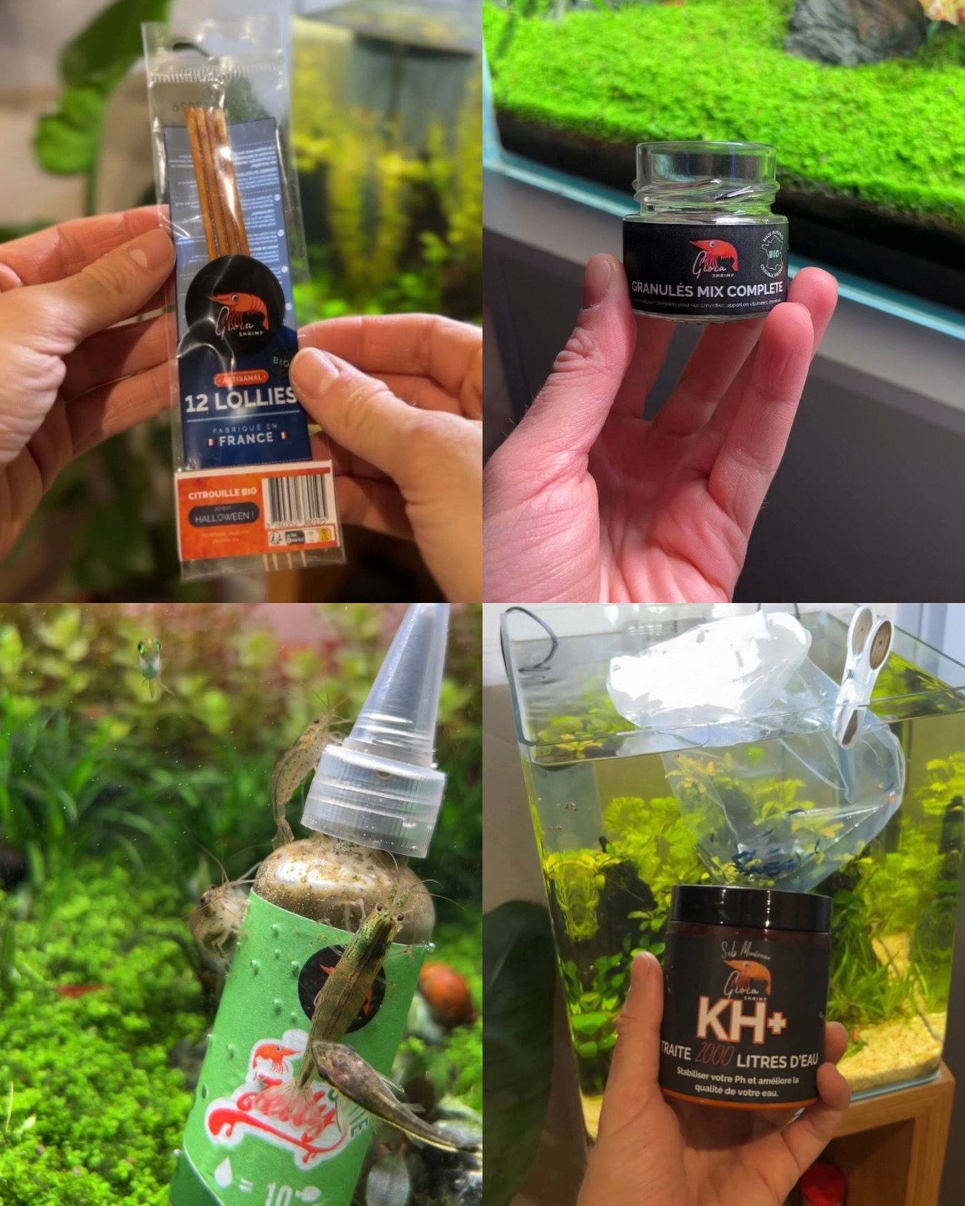 En 5 ans, certains produits sont devenus des incontournables !
✔️ Les lollies
✔️ Les sticks
✔️ Les compléments minéraux
Ce sont vos retours qui ont façonné la gamme.
Lequel est ton indispensable ?