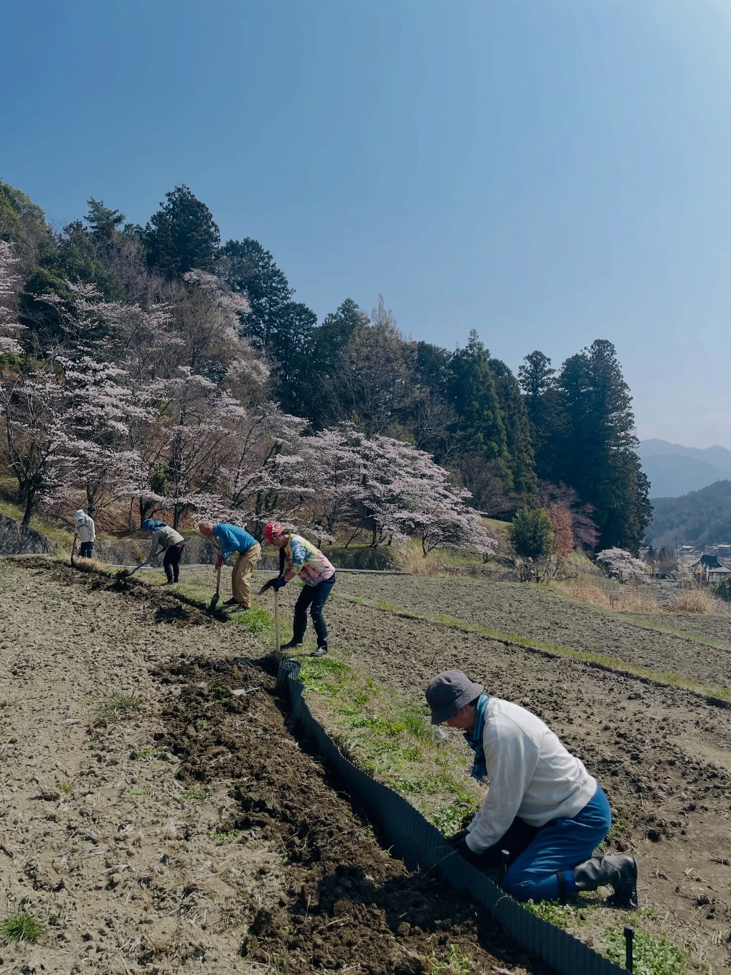 【穂積稲作部🌾畦波板の設置】
稲作部の皆さんが、今年も活動をスタート!穂積の景観を守りながら棚田でお米をつくります。只今部員募集中だそうです☺️自分たちの手でお米をつくることができる環境が穂積にはあります。ぜひ、遊びにお越し下さい🌾✨
#棚田で米作り #穂積地区