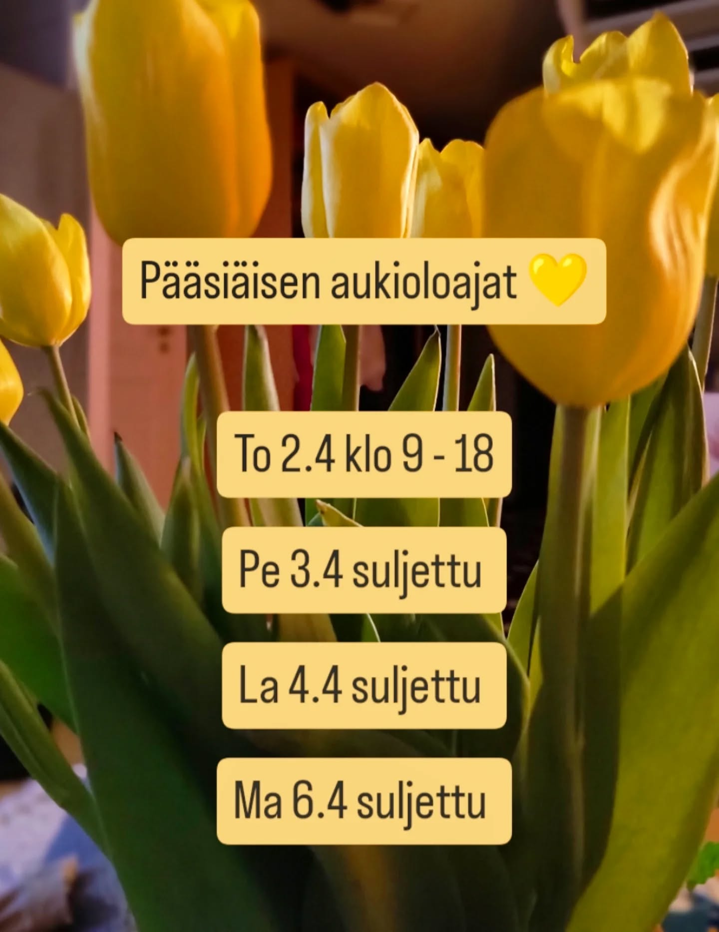 Liikkeemme palvelee vielä huomenna klo 9 - 18 💛
Pääsiäisen aikaan liike on suljettuna ja palvelemme jälleen normaalisti ti 7.4 💛
Voit varata ajan myös netistä
www.tukkahyvin.fi/nettiajanvaraus ✨
Iloista pääsiäistä! 🐥🌷🌿🐰
#pääsiäinen #poikkeuksellisetaukioloajat #parturikampaamo #turku