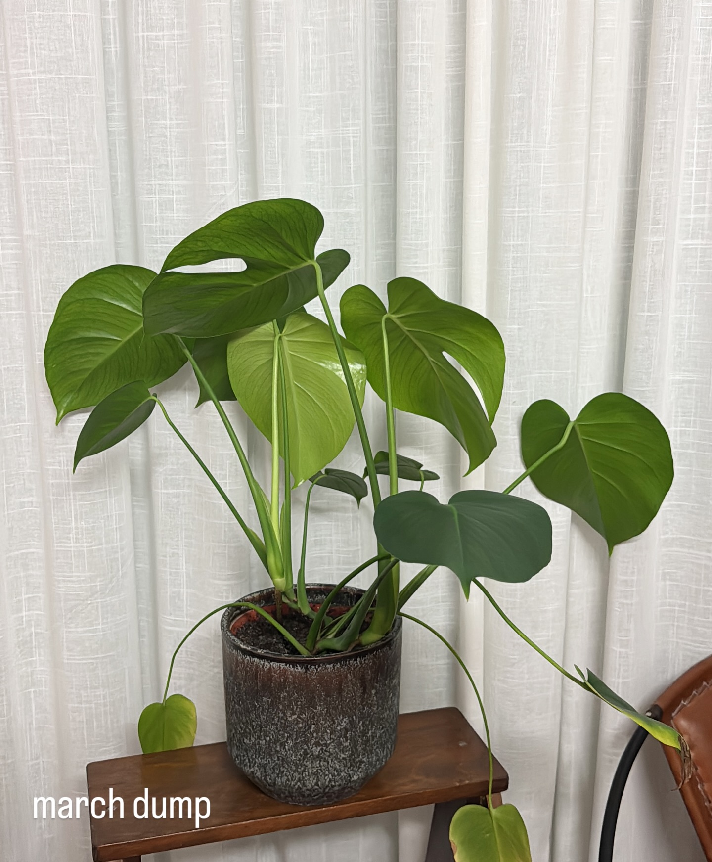 o sentimento que levo de Março é que foi terrível.
mas vou fazer aqui um carrossel onde vocês nem dão por isso, até porque diga-se de passagem, o que são os meus problemas ao lado dos que assistimos no telejornal?
então em jeito da vida perfeita que nos vendem, vamos às coisas boas?
Março trouxe a primavera ao meu jardim, trouxe o meu pai para a minha beira e trouxe o sol.
também em Março, fui a três concertos, reencontrei amigos e fotografei no distrito onde estudei, duas vezes!! nesses dois dias fui inundada numa energia tão forte de reconexão com a Juliana dos 19 anos, o que me fez viajar de carro e no tempo com a música aos gritos.
foi também em Março que me chafurdei no pó do gesso da obra da Iva, que arrumei a casa à Ana Raquel e que decorei a casa do Jorge… só eu mesmo 😂
foi perfeito Março, vêem?
sobrevivi ✨ em meados de abril conto-vos a outra metade, se tiver tempo, não está fácil.