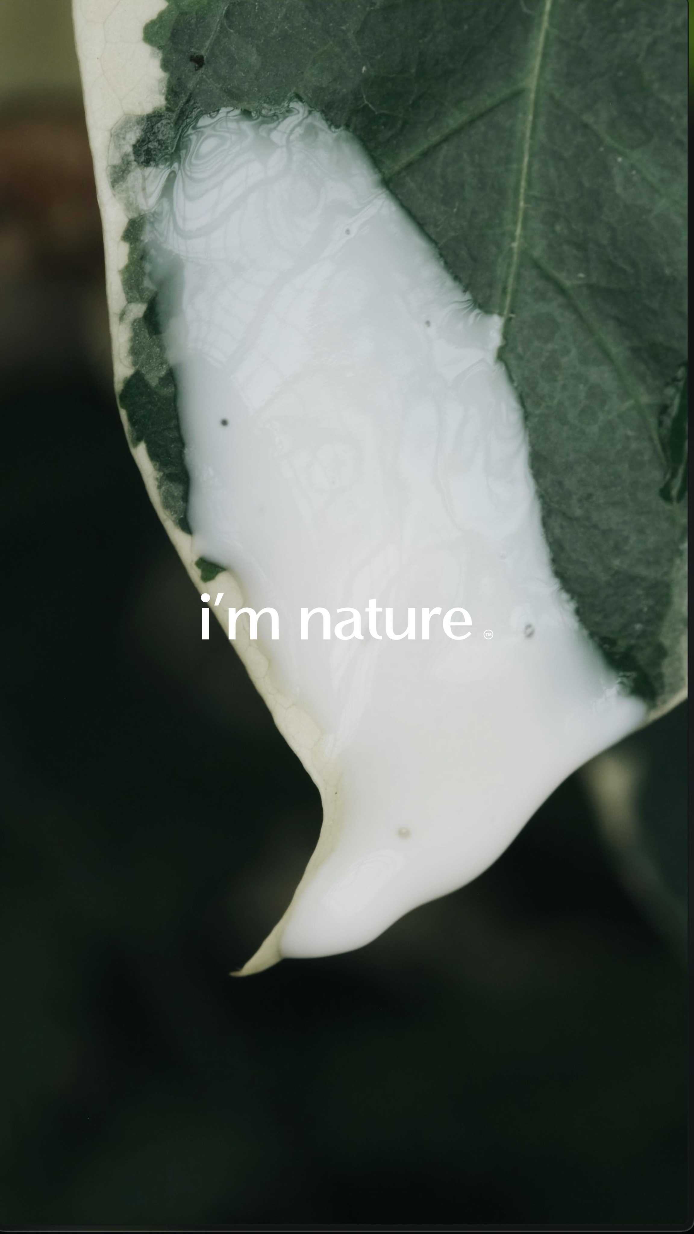 •skin changes•
your skin changes (weather, hormones, stress, food…) and it’s a normal thing
it’s not meant to stay the same every day
it shifts, adapts, and reacts to your environment, your lifestyle, and what’s happening within your body
understanding this is the first step to building a routine that actually supports your skin, instead of fighting it
▫️ your skin is a living organ it responds to everything happening inside and around you
▫️ weather shifts (cold, heat, humidity) can change oil production, sensitivity, and hydration levels
▫️ hormonal fluctuations (cycle, stress hormones, lifestyle) directly affect breakouts, texture, and glow
▫️ stress increases cortisol which can trigger inflammation, acne, and dullness
▫️ what you eat matters sugar, dairy, hydration, and nutrients all show up on your skin
▫️ sleep quality impacts repair: your skin regenerates at night, not during the day
▫️ more products ≠ better skin understanding your skin is what creates balance
instead of chasing “perfect” skin, learn to read it
when you respond to your skin with awareness, not control, you create something much more powerful, balance ♾️
a reminder, that today is the last day to receive your FREE tote with every $75+ order, a small reminder to choose what truly supports you 👜🌱
SHOP NOW!