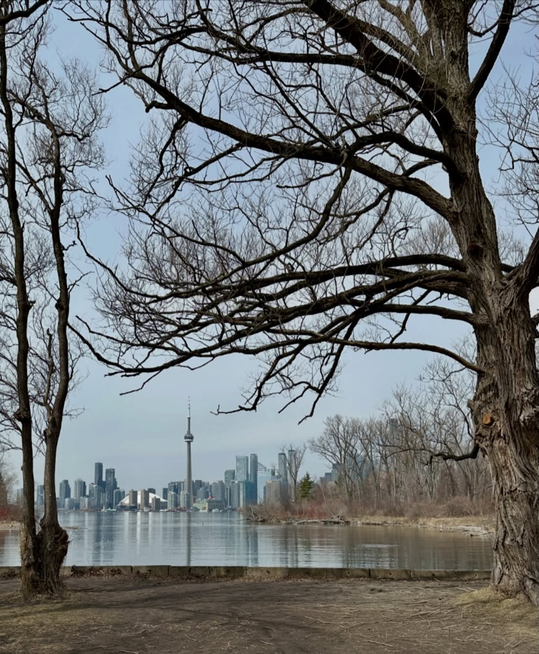 Pre-leaf season hits different on the islands. Spring is here 🍃There’s nothing quite like watching the city wake up from the islands - bare branches, still water, and that skyline doing what it does best. 🏙️
Toronto looks fantastic when exploring on two wheels, join us for an adventure this season. 🚲
🔗 Book your tour at www.pedaltoronto.com
#PedalToronto #TorontoIslands #DestinationToronto #ExploreTO #TorontoSkyline