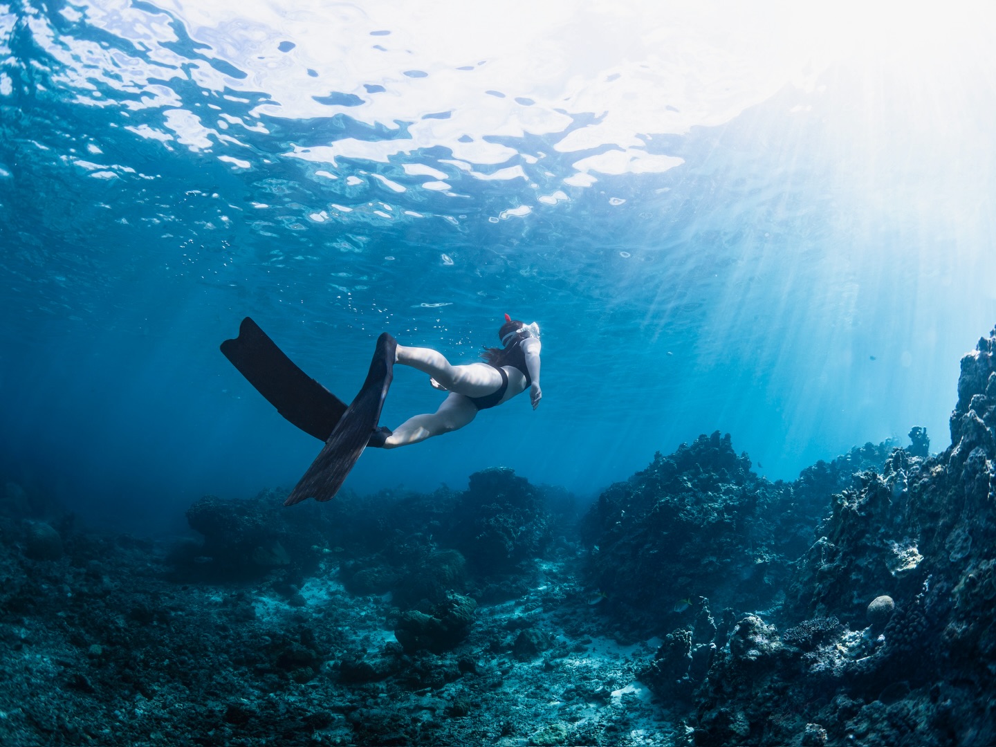 #学割キャンペーン
🌸💎🌸💎🌸💎🌸💎🌸
2026/3/16〜学割キャンペーンSTART✨
この機会にぜひお問い合わせお待ちしております🪸
.
期間▶︎2026/3/16〜4/30
料金▶︎全ツアー1,000円OFF
対象▶︎ツアー当日に学生であること。
ご予約の際に学生であることをお伝えください。
※団体の方は学生の人数分のみ割引となります。
🌸💎🌸💎🌸💎🌸💎🌸
.
#海をもっと好きになれるツアー
🧜♂️メインガイド🧜♂️
@wallys_gallery
💎全ツアー1組貸切制💎
💎動画、写真データは全てプレゼント🎁💎
💎ロングフィン、器材全てレンタル無料🆓✨💎
💎初心者🔰でも大歓迎!ガイド歴10年以上💎
🫧━━━━ Skindiving ━━━━🫧
所要時間▶︎2時間
料金▶︎8,000円(1人参加の方は+2,500円)
🐚経験者の方はロングフィンの貸出も無料🆓
🐚スキルアップ重視の内容も可能👌
🫧━━━━ Schnorchel ━━━━🫧
所要時間▶︎2時間
料金▶︎6,500円〜(1人参加の方は+2,500円)
🐚泳げない方も安心してご参加下さい☺︎
🫧━━━ Skindiving license ━━━🫧
所要時間▶︎3.5時間
料金▶︎ 18,000円+ライセンス発行料5,500円
(1人参加の場合は+5,000円)
🐚条件クリアでPADIのライセンスカードが即日発行可能👌
🫧━━━━ Umi Photo ━━━━🫧
所要時間▶︎2時間
料金▶︎ 13,000円(1人参加の方は+2,500円)
🐚全撮影データ&レタッチ写真5枚プレゼント🎁
🐚衣装持ち込みなどご相談下さい🙆🏽♂️
【ご予約方法】
🐚InstagramのDM
🐚公式LINE 🆔▶︎ @ufj0961i (@から入力)
🐚リンク🔗のホームページ
ご予約状況はハイライトをご確認下さい。
【ぷくぷく】
2018年営業START🐠
全ツアービーチエントリー🏖️にて
エコ🌏&安心安全🦺をモットーに
ご案内しております。
海をもっと好きになれるツアー🐢✨
ご興味ある方はお問い合わせお待ちしております♨️
#宮古島
#宮古島スキンダイビング
#宮古島スキンダイビングライセンス