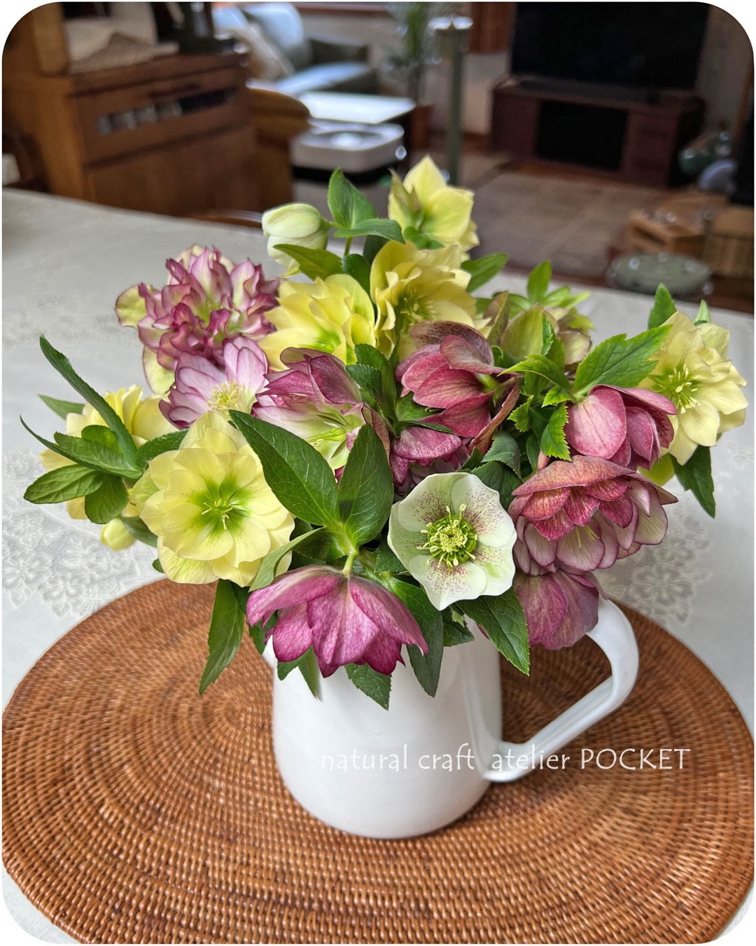 北斜面の庭は草花が咲きだすのが10日前後遅くて、3月末にようやく花を切りました。まだ小ぶりの苗もあるのでこれからしっかり株を育てたいです🪴
赤系の株から、白の花が一輪咲きました。気温差やストレスがかかると一時的な『色抜け(発色不良)が起きるようです。ずっと一重だった株の花が可愛い八重になって、今年は素敵な現象にワクワクしました💓
来年の花が楽しみです💕
#クリスマスローズ
#ガーデニング
#大好きな花
#お山暮らし
#atelierPOCKET