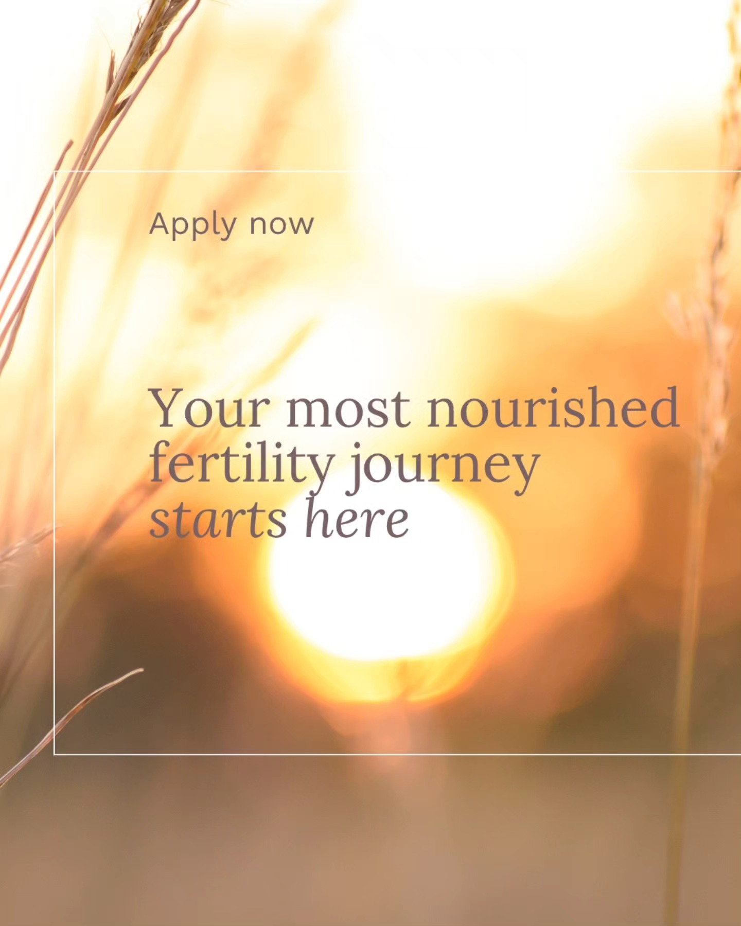 Seven years ago, I was deep in fertility treatment and completely burnt out.
I tried everything—the supplements, the diets, all the expert advice.
Nothing worked. And worse, I felt like I was disappearing.
So we stopped.
And I made a different choice:
To stop fixing.
To start nourishing.
To come back to me.
I let go of the illusion of control and focused on the one thing I could influence—how well I took care of myself.
That changed everything.
✨ If you're ready to shift your fertility journey from depletion to deep self-connection, Nourished starts soon.
This isn’t about doing more.
It’s about coming home to your body.
💬 Curious to know more? Comment NOURISH below and I’ll send you all the details.
#FertilitySupport #MindBodyFertility #TryingToConceive #TTCJourney #FertilityHealing #FertilityMindset #NourishNotFix