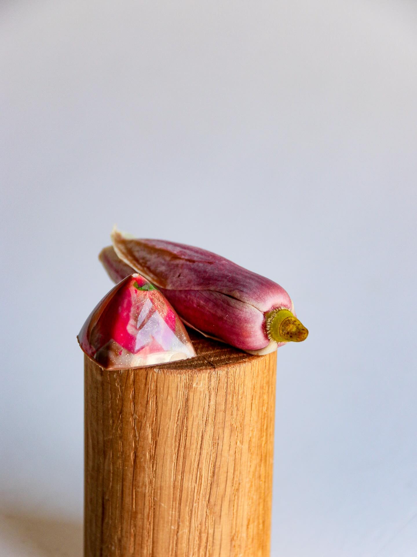 Magnolia & white chocolate ganache + life + memories