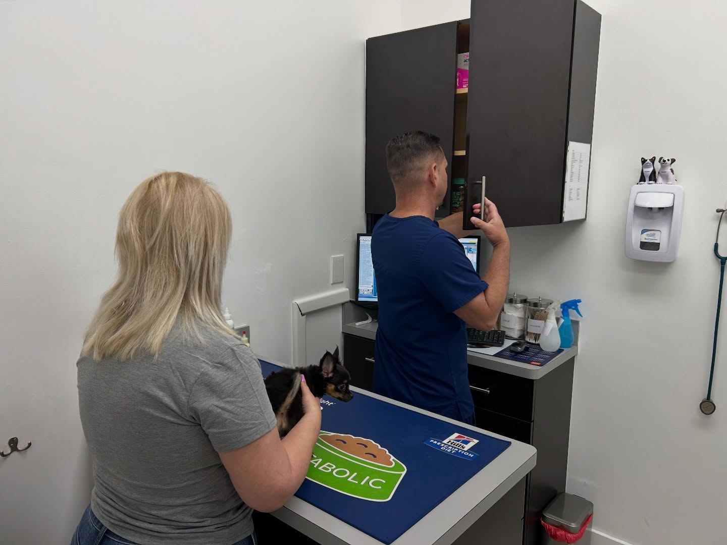 Fontes Animal Clinic
📲 305-364-5327
📍 2330 SW 67 AVE Miami, FL 33155
🌐Website: https://www.fontesanimal.com
#fontesanimalclinic #florida #miami #hialeah #veterinarymedicine vettech vetmed FontesAnimalClinic 6toAniversario CuidandoConAmor 💙