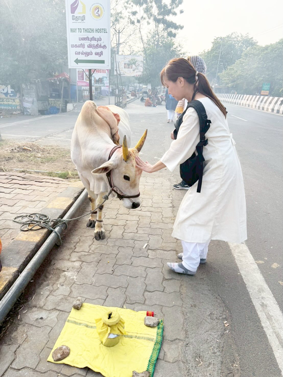 
【インド旅で受け取ったもの】
子どもの頃から、私は“感性”優位で生きてきました。
迷ったり、失敗したり
遠回りしたりしながらも
そのすべてが、これまでの人生を彩ってくれていたのだと思います。
ヨガをお伝えするようになって
その感性だけに頼ることに、不安を感じ
私は“確かさ”を求めて、ヴェーダンタ哲学を学び続けてきました。
この10年
あえて自分の感性に少し蓋をして、知性を育てる時間を過ごしました。
そして今回のインドの旅で、
その奥にあった「もうひとつの扉」が、静かに開いた気がしています。
抑えていたものがほどけていく
本来の自分に、そっと還っていくような懐かしい時間でした。
ここからは、
自分の内側にある繊細な感覚を丁寧に感じ取りながら
大切に育てていきたい。
それを“許された”
そんな不思議な確信を受け取った旅でした。
今年はもう一度、「わたし」に還る年。
足元を大切にしながら、ていねいに整えていきます。
知性という土台の上に、やわらかな感性を重ねて
バランスよく、しなやかに。
どんな時も“幸せを感じとり表現できる人”として在りたいと思います。
インド滞在先のアシュラムが撮影禁止だった事もあり、写真も数少ないのですが...
また、合間にインドレポートします🇮🇳
🔸ヨガインストラクター養成講座🔸
8期生募集中
【2026年6月〜日曜日コース】
月2回日曜日 9:30〜13:00
日程は2.3ヶ月毎にメンバーと相談しながら進めていきます。
インストラクター養成講座の詳細は
@yoga.curative
こちらのプロフィールからご覧ください
個別無料相談受付中です✨
まずはDMやメールにてお問合せくださいませ🙏
【CURATIVEYOGA】
高崎市井野町178-12
井野駅より徒歩2分
駐車場有
#ヨガ
#インド
#高崎市
#渋川市
#群馬県ヨガ資格
