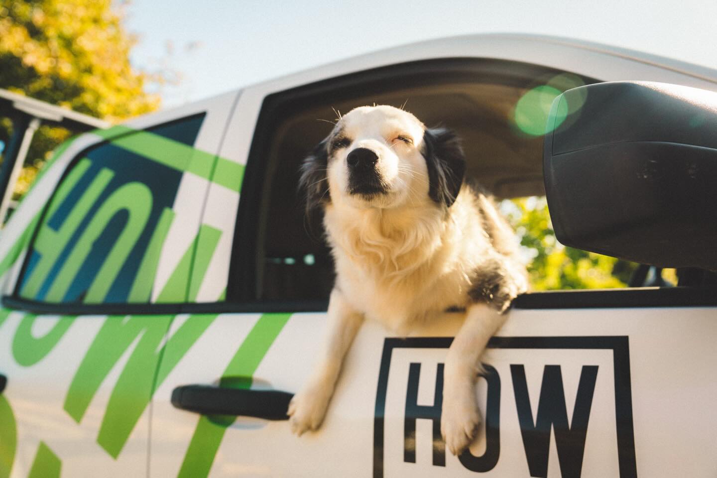 Punxsutawney Phil checks shadows…
Rosie just uses her nose. 🐶🌸
Every year Phil pops out, squints at the sun, and gives us a 50/50 guess on spring. Respectfully… Rosie would like a word.
At Howson Homes, our mascot Rosie doesn’t need folklore, she can smell spring coming from a mile away. Fresh cut grass, cedar decks warming up, that first hint of BBQ season… yeah, she’s already wagging.
Phil sees a shadow.
Rosie smells opportunity.
So if you’re waiting for a groundhog to tell you when to start your next build… don’t. Rosie already knows and she says it’s go time.
Spring is here. Let’s build something unreal. 🛠️
If you’re thinking of building this year, reach out and set up a free consultation to discuss your goals. Rosie would love to hear about your project!
📍516 1st Ave, Ladysmith
📧 info@howsonhomes.com
📞 778-957-0555
#howsonhomes