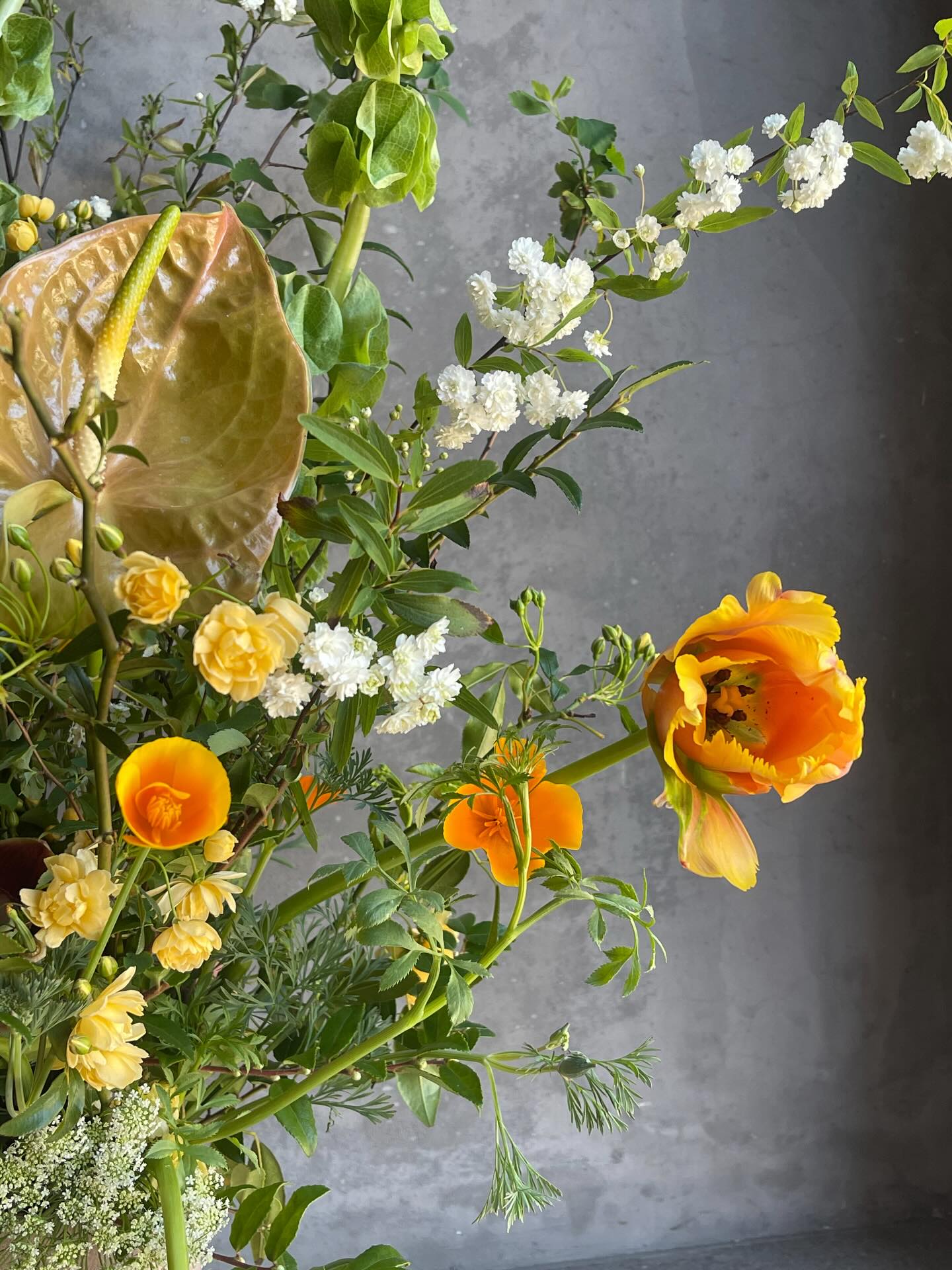 Designer’s Choice at Le Bouquet looks something like this!
Elegance and movement, together. Flowers that hold feeling and give it back every time you walk past them.
Order online for a pick-up or delivery. Subscriptions available as well.
Email to inquire about your wedding / special events.