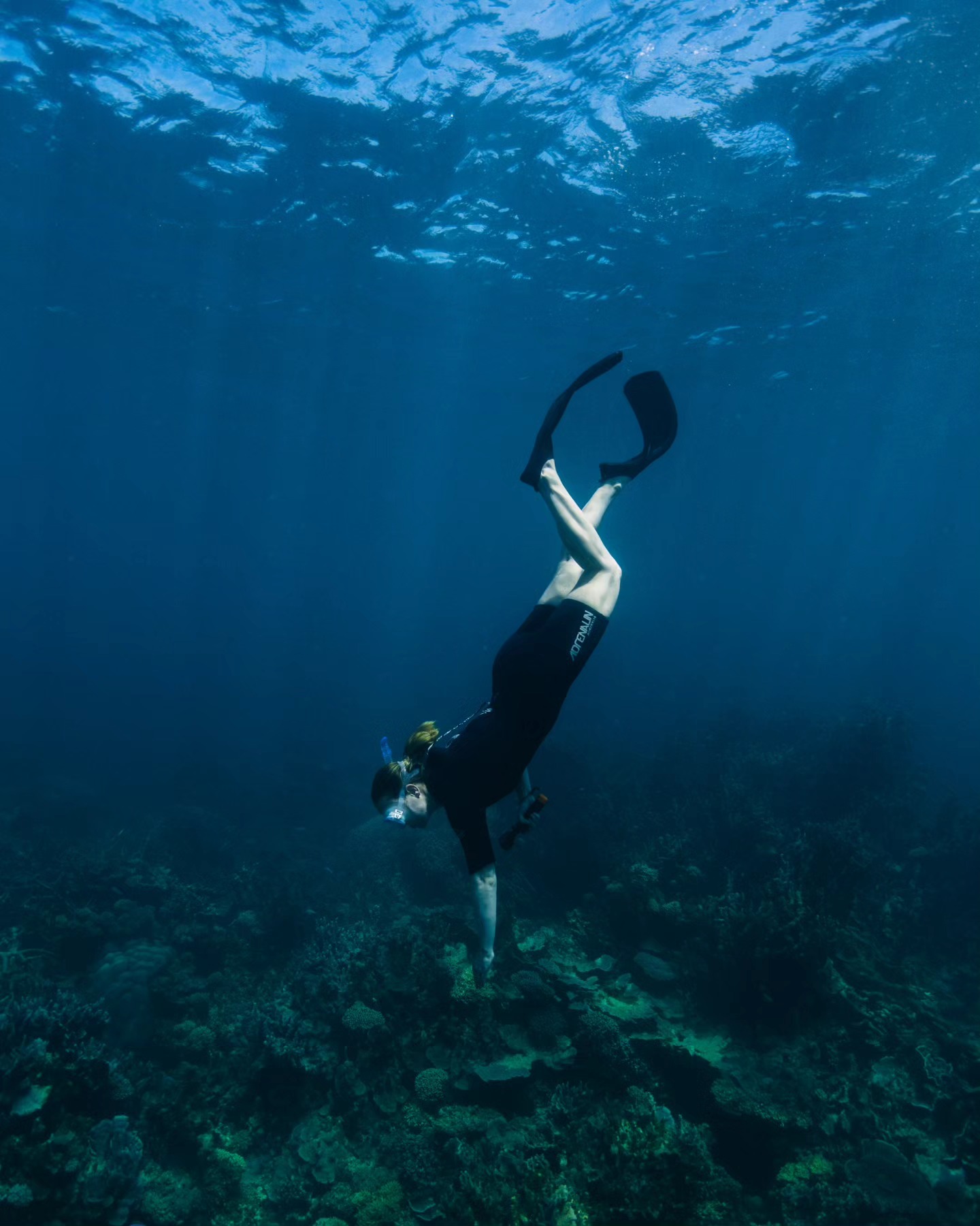 Freediving at Ningaloo Reef Australia!
I have never seen so many healthy corals and diverse marine life like here. Amazing!
@ningaloomarineinteractions
#ningalooreef #freediving #marineinteractions #wildlife #australia #adventureinspirations
