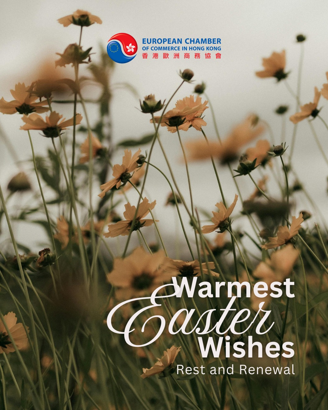 Warmest Easter wishes from Eurocham Hong Kong! Enjoy the spring festivities and a well-deserved break with your loved ones. š·š„