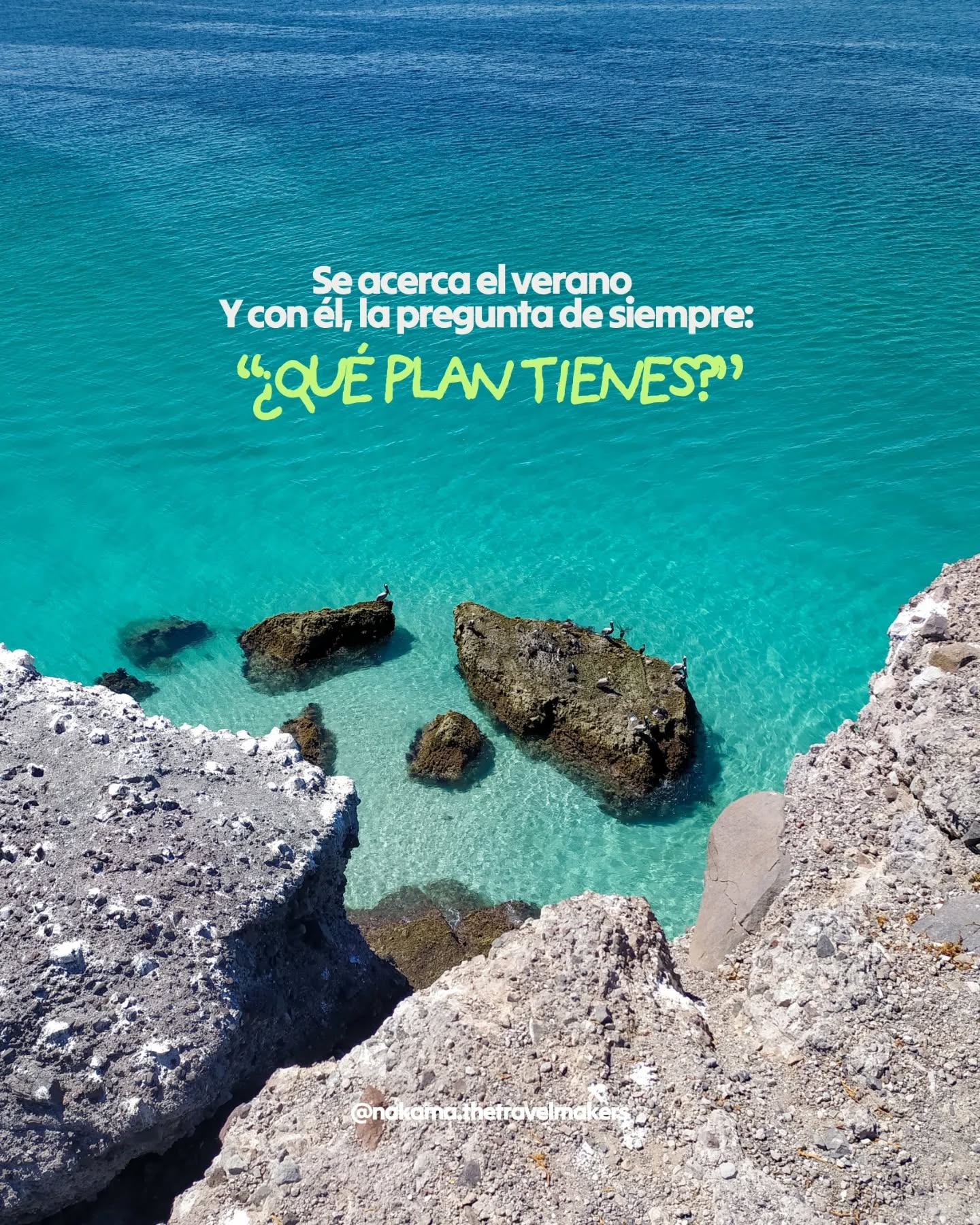 Otro verano esperando a que tus amigas puedan… o el verano en el que haces algo por ti.
Tú decides.
A veces, solo necesitas el grupo adecuado para atreverte.
👉 Compártelo con esa persona que sigue esperando un plan este verano
#viajegrupal #nakama #experiencias #latinoamérica