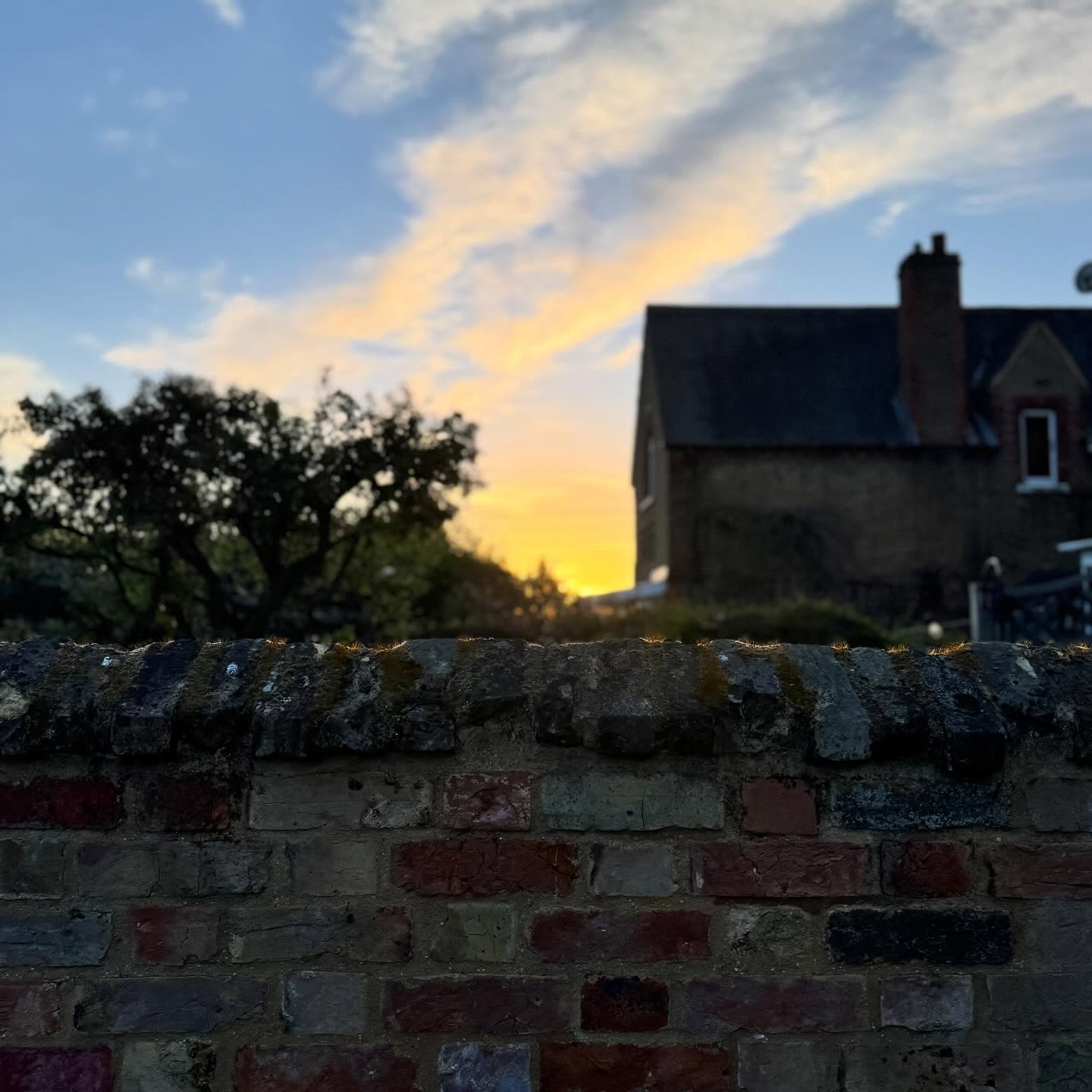 Such a beautiful start to the morning. Sun on my face, church bells ringing in the distance 🧡
Have a wonderful day everyone.
#goodmorning #appreciatethelittlethings #stresslesscraftmore #happy #sunrise