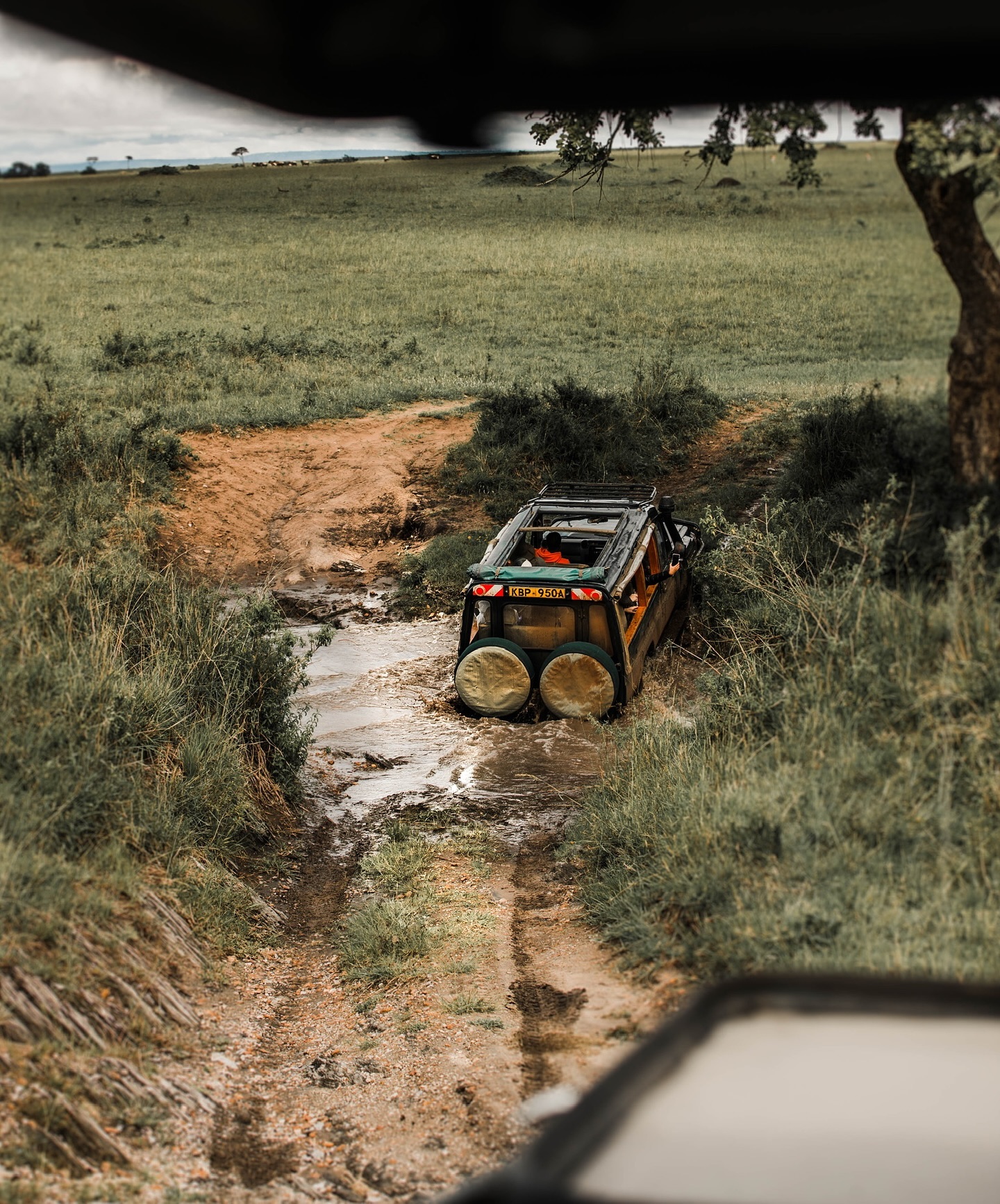 Only 50 more days until our Kenya Expedition! 🇰🇪
Who’s excited?! 🙋🙋♀️
Be sure to follow along and keep an eye out for our 2025 trip announcements!
Where do you think is our next Devine locations are?
#somewheredevine