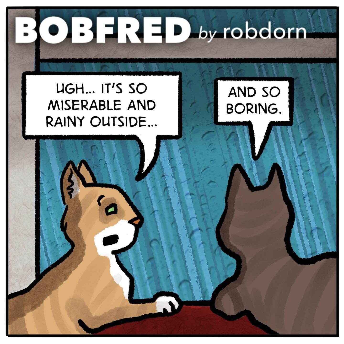 Fun with rain…
#catcomics #dogcomics #digitalcomics