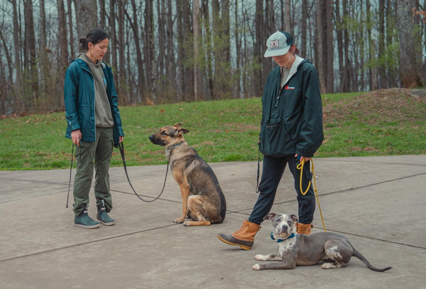What’s more fun than one dog trainer? Two dog trainers!
Thank you @pawtriotdogtraining for having us over! We had lots of fun.
#dogtraining #dogtrainersofinstagram #dogsofinstagram #trainingfun