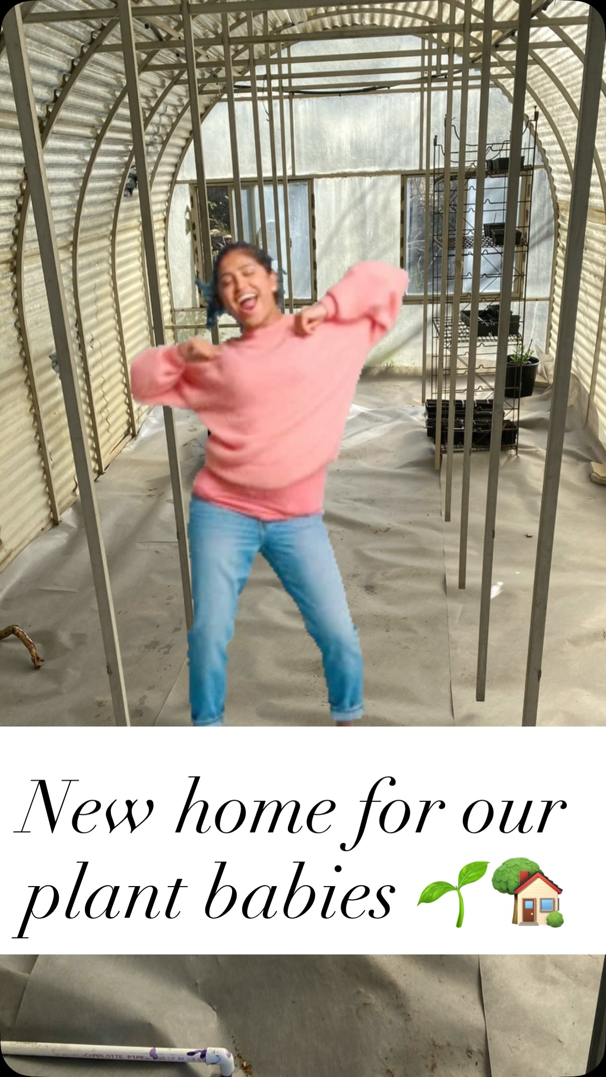 Seedlings today, San Antonio landscapes tomorrow.📈💚🏡
🌱Marigolds aren’t just for looks. They’re nature’s pest control.
🌱Clemson Spineless Okra and Sage love the San Antonio heat and look beautiful in a landscape, too!
🌱Climbing beans and salvia attract bees, butterflies, and other pollinators.
#greenhouse #landscapecooperative #seeds #fyp