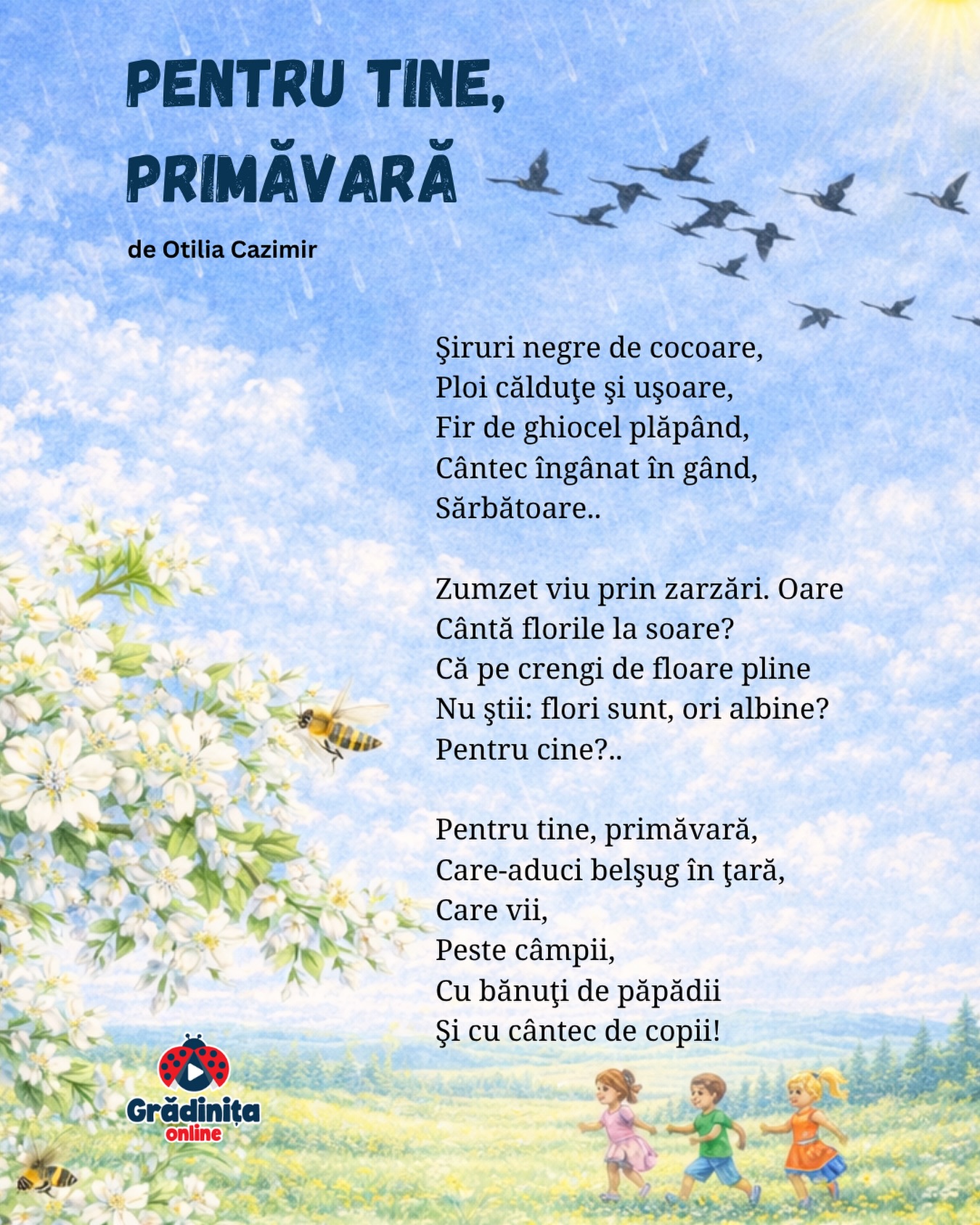 Pentru tine, primăvară
de Otilia Cazimir
Şiruri negre de cocoare,
Ploi călduţe şi uşoare,
Fir de ghiocel plăpând,
Cântec îngânat în gând,
Sărbătoare..
Zumzet viu prin zarzări. Oare
Cântă florile la soare?
Că pe crengi de floare pline
Nu ştii: flori sunt, ori albine?
Pentru cine?..
Pentru tine, primăvară,
Care-aduci belşug în ţară,
Care vii,
Peste câmpii,
Cu bănuţi de păpădii
Şi cu cântec de copii!
#poezii #poeziicopii #gradinitaonline
