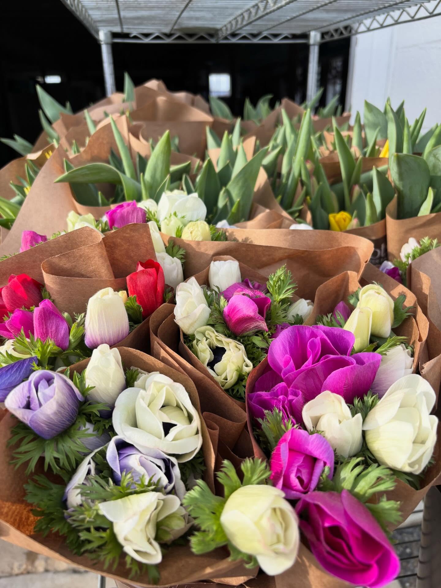 Party time!!
These anemone and tulip bunches are headed to @beemansbakedgoods and @talking_breads THIS MORNING! Don’t miss out.