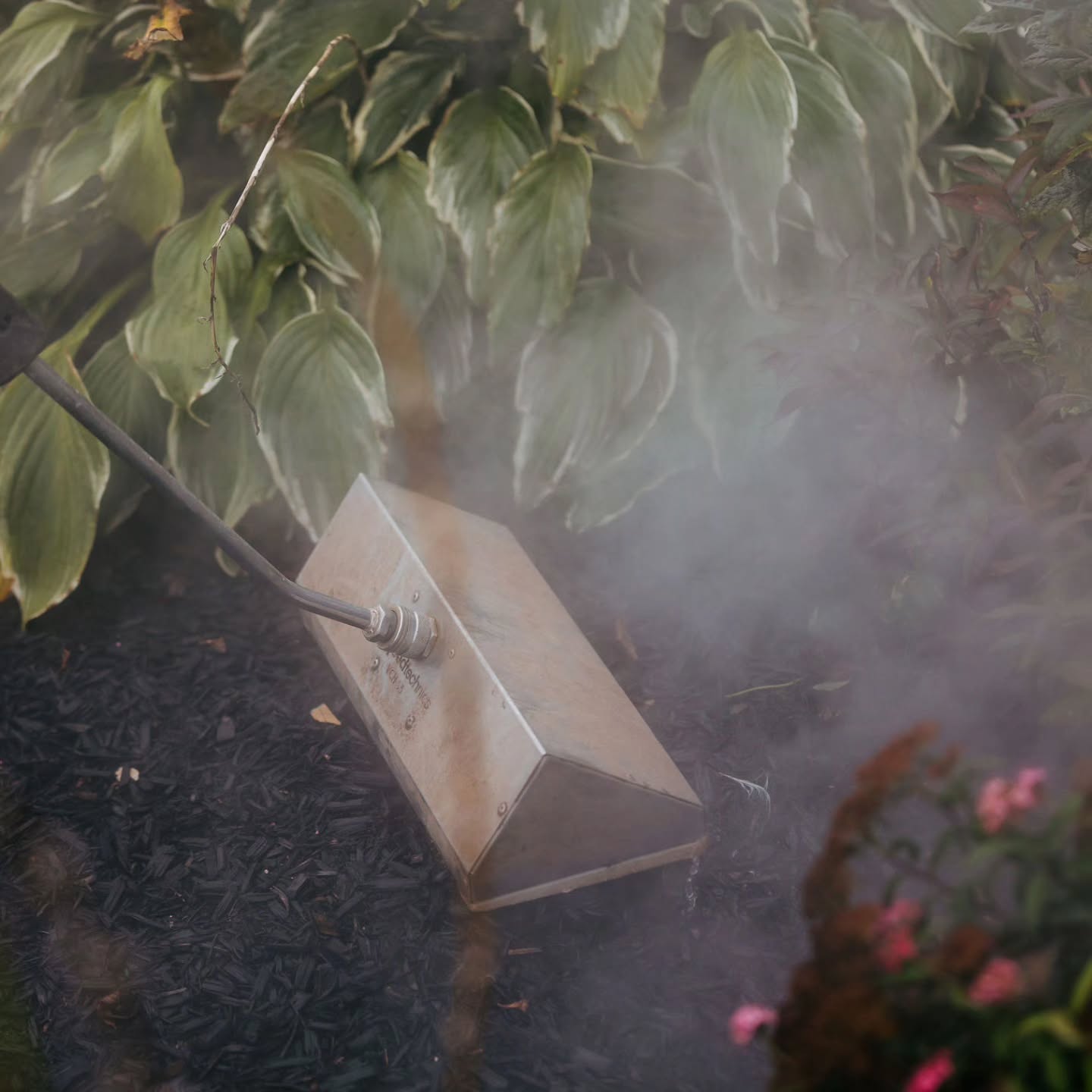 There’s a difference between "mowing" and "managing a property."
Let’s be real, anyone can mow. The 12-year-old down the street with his dad’s '90s Honda push mower can mow your lawn.
At Hydro Weed Plus, that’s not what we’re about.
I’m moving away from "basic mowing jobs" to focus on homeowners in Riverview, Moncton, and Dieppe who actually care about soil health. If you want your lawn to shine the natural way, it takes more than a haircut. It takes:
-Soil Testing & Attention: Knowing what your ground actually needs.
-Chemical-Free Care: Handling weeds with Satusteam thermal technology (no sprays, no toxins).
-A Full 7-Month Program: We start in April with soil amendments to build the foundation before we even think about dropping a mower blade in May.
I’m looking to grow the business this year with clients who want a professional, science-backed approach to their property.
Ready for a quote on a Level 1, 2, or 3 program? 👇 Comment below or DM me. Let’s get your soil right for 2026.
Photo by @radiant.photography