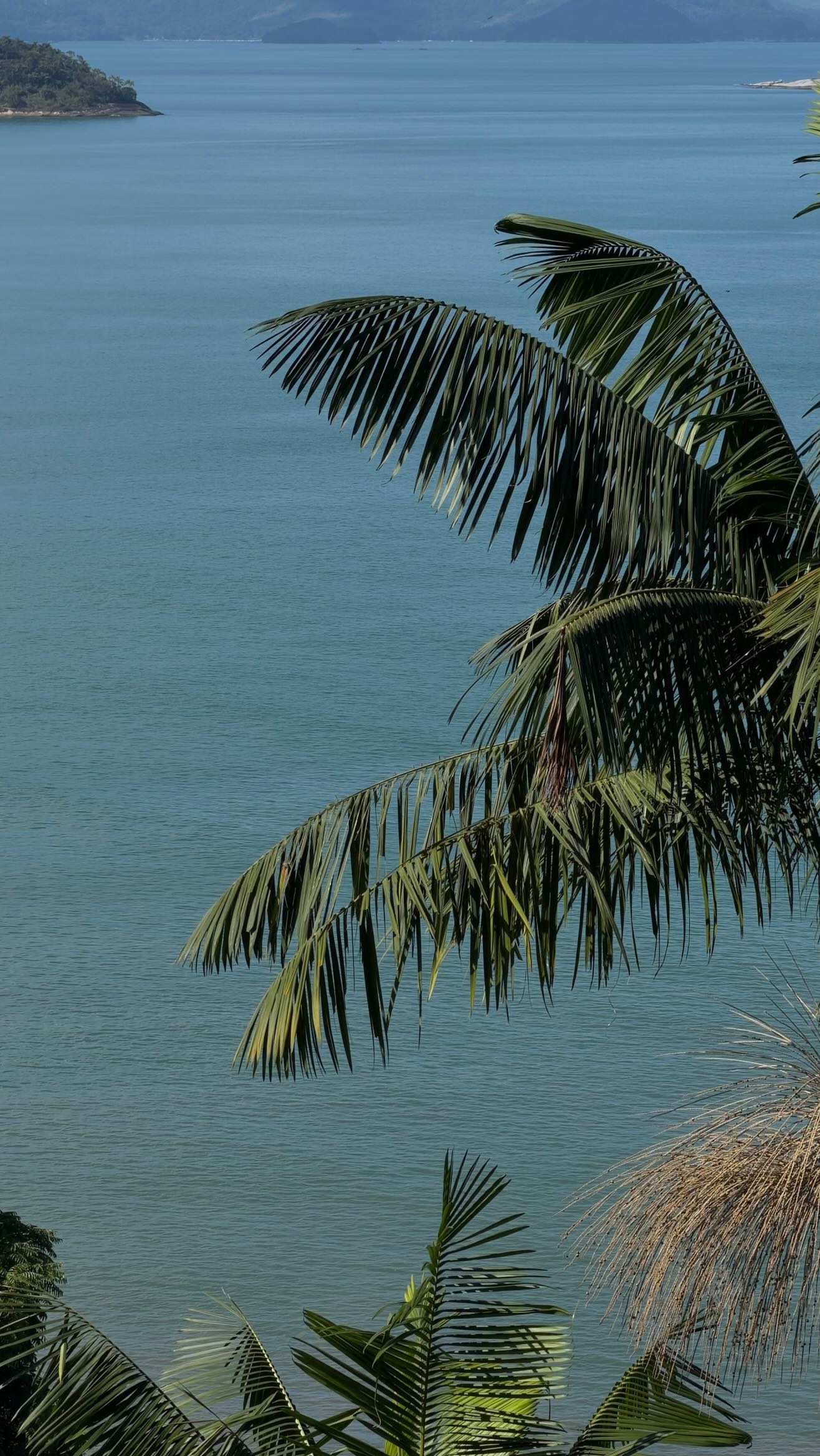 O destino do próximo feriado de Páscoa? Paraty.
Ainda temos opções de hospedagens disponíveis, mas as datas costumam esgotar rápido.
📲 Faça sua reserva pelo link da bio e venha passar a Páscoa em Paraty.
Your Easter holiday destination? Paraty.
We still have accommodation options available, but dates usually book out quickly.
📲 Book your stay through the link in our bio and come spend Easter in Paraty.