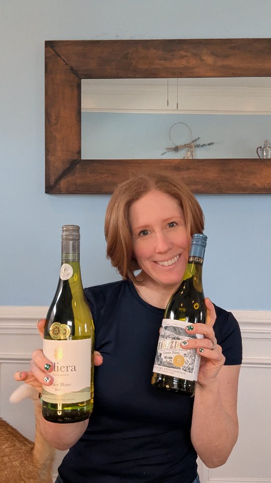 Why do we love South African chenin at Red Wolf Imports?
It's great on its own or with food.
Food pairings don't need to be fancy - takeout Chinese, pork or fish tacos, cheese and crackers
Under screw cap - easy peasy to enjoy
Fresh, fruity, sunshine in the glass