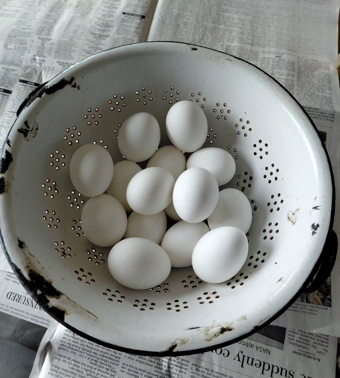 #happy #easter #blessed #ostara