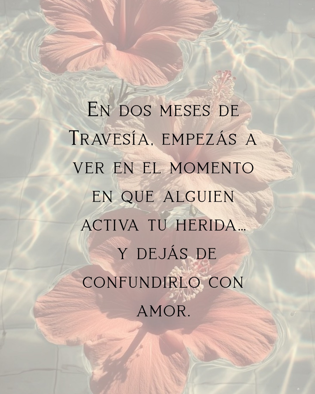 Imagínate darte cuenta desde el primer momento cuando alguien que te gusta es de los que te haría volver a lo mismo…
y poder decir que no a tiempo.
Ese segundo donde algo en vos ya sabe.
Pero antes dudabas.
Te quedabas un poco más.
Te metías igual.
Eso es lo que empieza a cambiar.
Cuando aprendés a reconocer en tu cuerpo
lo que sentís cuando estás frente a alguien,
dejás de confundirte.
En los primeros dos meses de Travesía, empezás a ver en el momento
cuando alguien activa tu herida…
y dejás de meterte igual.
Y ahí, de a poco,
Dejas de perderte cuando alguien te gusta.
Empezás a sostenerte.
Eso es Travesía.
Si sentís que es tu momento, escribime.