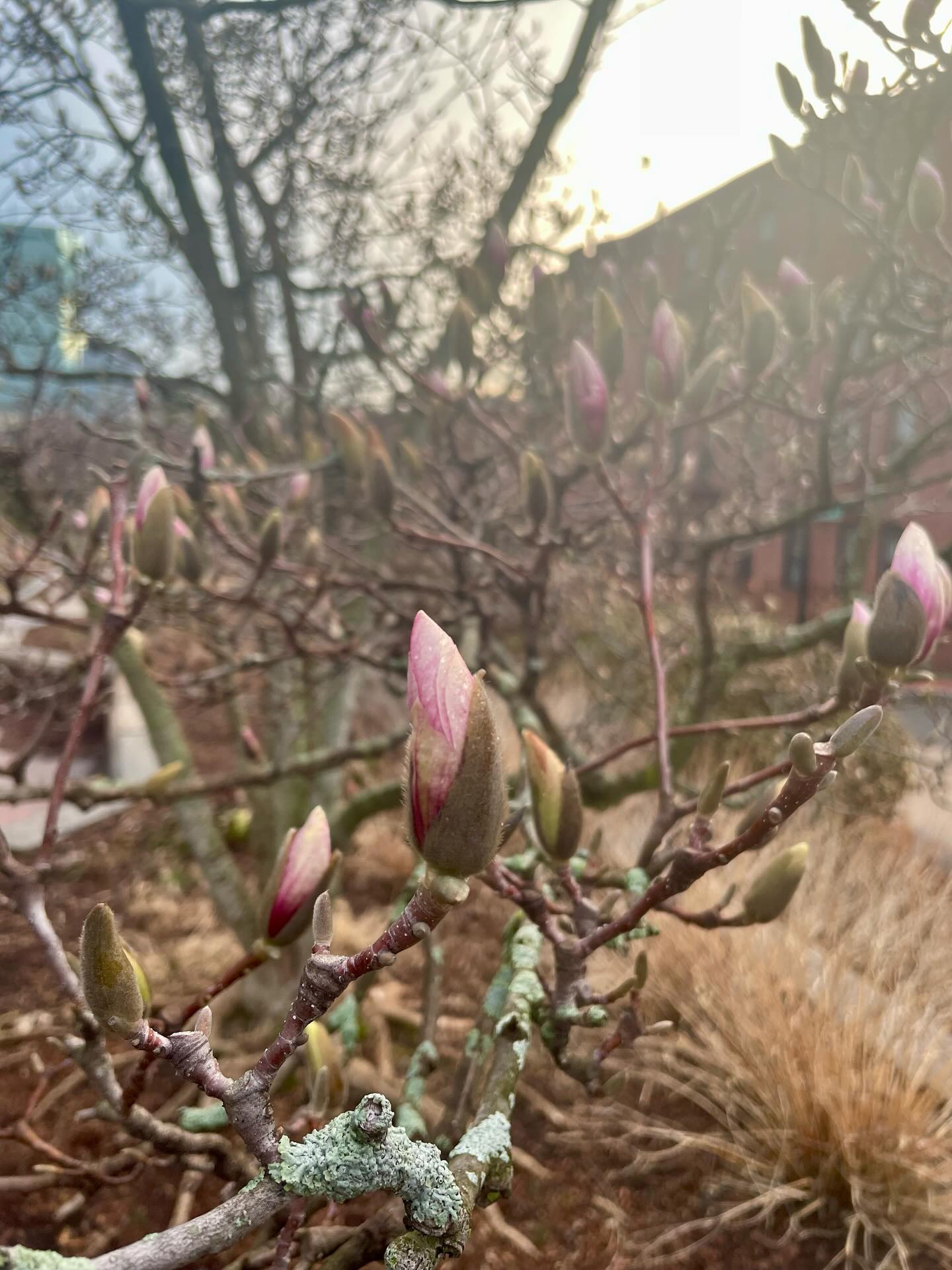 Hope springs eternal