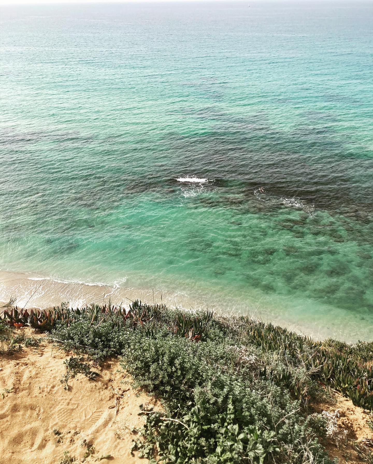 Sea cliffs