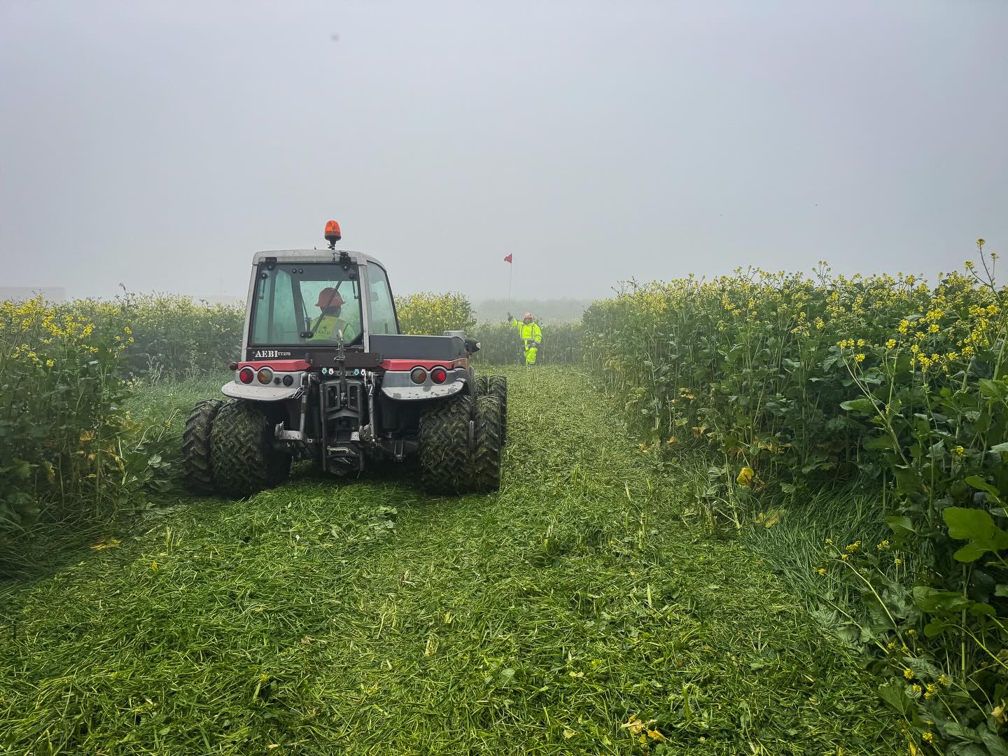 Throwback to February when the crew was tackling some tough weeds for Risewell’s Crestview Community in Mountain House. At Emerald, we’re fully equipped to handle even the tallest, thickest overgrowth with ease. From heavy-duty mowing equipment to specialized tools designed for tough terrain, we get it cleared quickly and efficiently. 🌱
#mowing #weedabatement #landscaping #vegetationmaintenance #californiacompliant