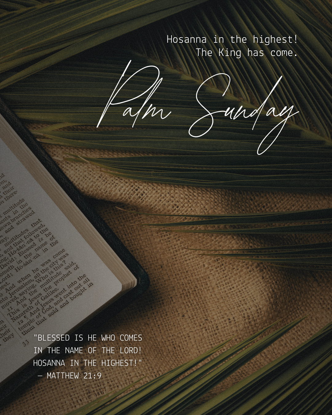 🌿 Join Us for Palm Sunday! 🌿
Come celebrate the beginning of Holy Week with us as we remember Jesus’ joyful entry into Jerusalem and wave our palm branches in praise.
All are welcome—bring your family, bring a friend, and come worship with us as we journey toward Easter together.
Hosanna! Blessed is the one who comes in the name of the Lord.