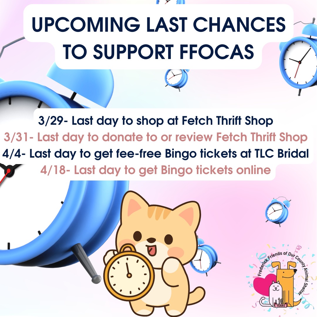 Don't miss out on ways to help our missions via @fetchthriftshop or at our April 19th Bingo!
Review Fetch here:
https://rb.gy/zwjybu
Get your Bingo tickets online or fee-free at @tlcbridal on 4/4 from 11:00-4:00!
https://FFOCASBINGO2026.eventbrite.com
#feefree #events #fetch #charity #thrifty #donate #petsarefamily #frederickpets #deadlines #comingsoon #endingsoon #shoplocal #frederickmd #frederickmdshops #bingo #fundraiser