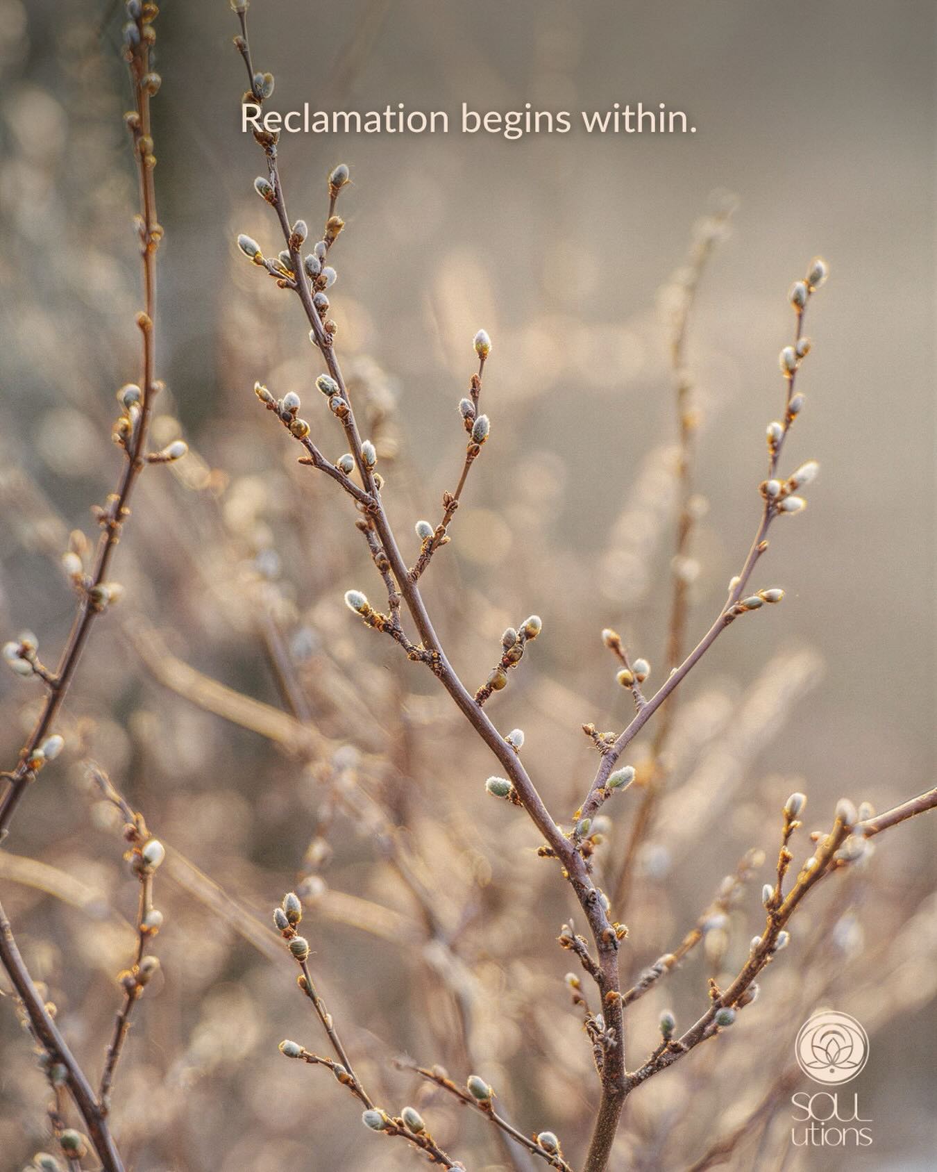 Becoming more yourself does not start with proving anything.
It begins with remembering what is true beneath the noise, the roles, the conditioning, and the old survival patterns.
Reclamation begins within.
And from there, everything starts to shift.
If this is the season you are in, ๐๐ฒ ๐ ๐ผ๐ฟ๐ฒ ๐ฌ๐ผ๐ was made for this work. Comment ๐๐ ๐ฌ and Iโll send you the details.
#BeMoreYou #IdentityReclamation #InnerTruth #AuthenticSelf #Transformation